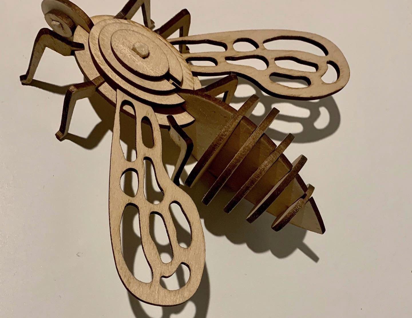 Insect Puzzle Challenge