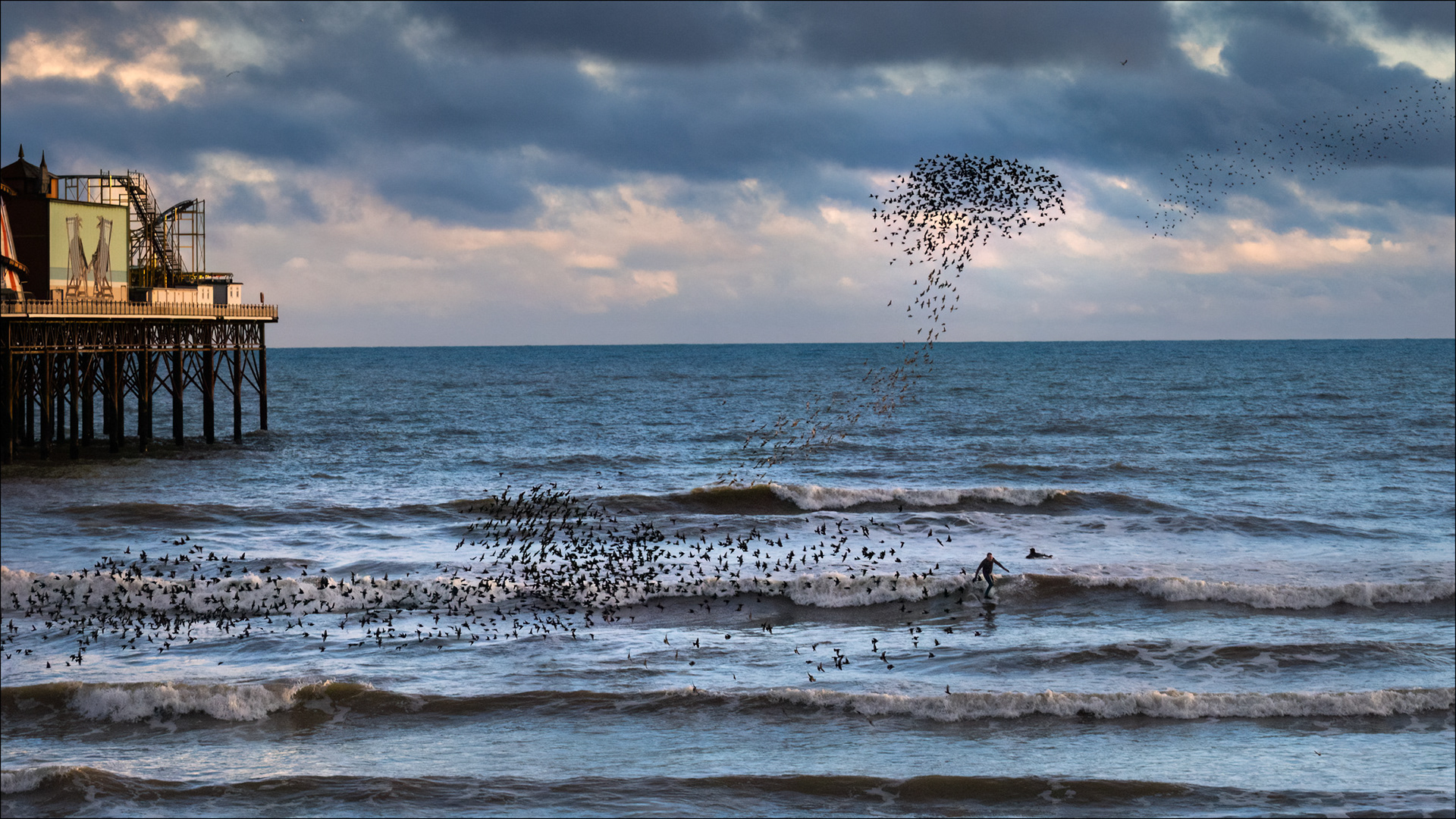 Starling murmuration Brighton