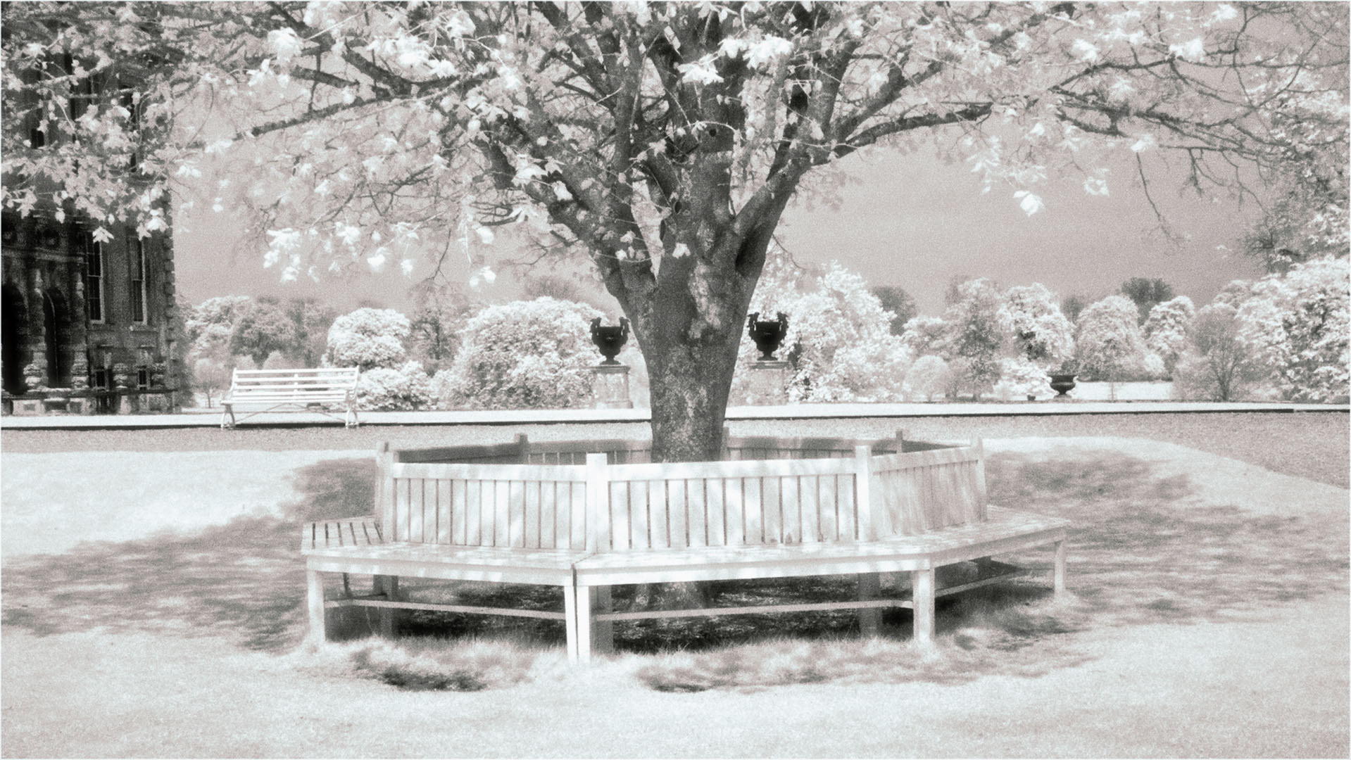 Shady Bower
