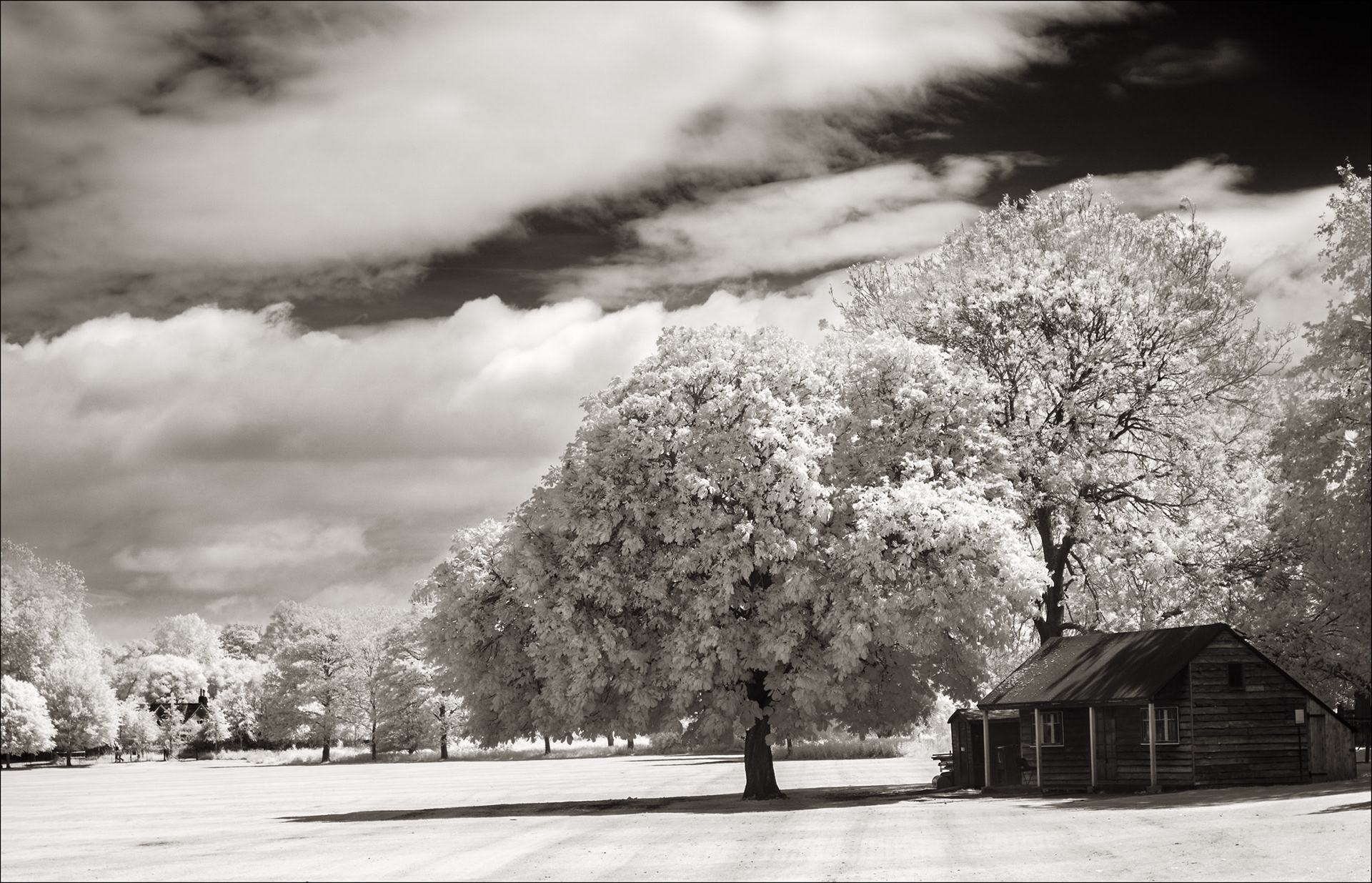The Old Pavilion