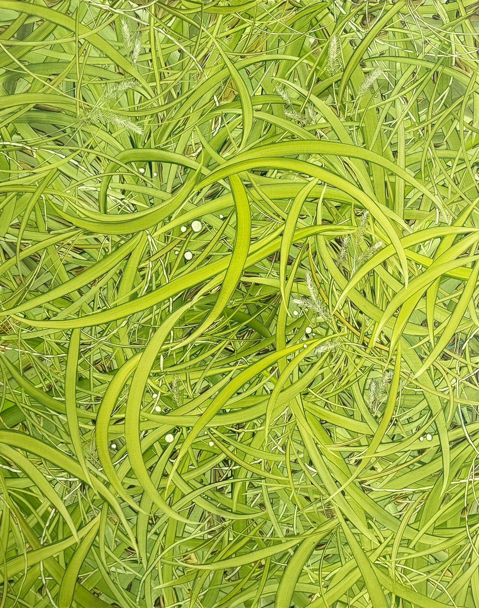 풀 속에, Oil and oil pastel on canvas, 100x80.3cm, 2025