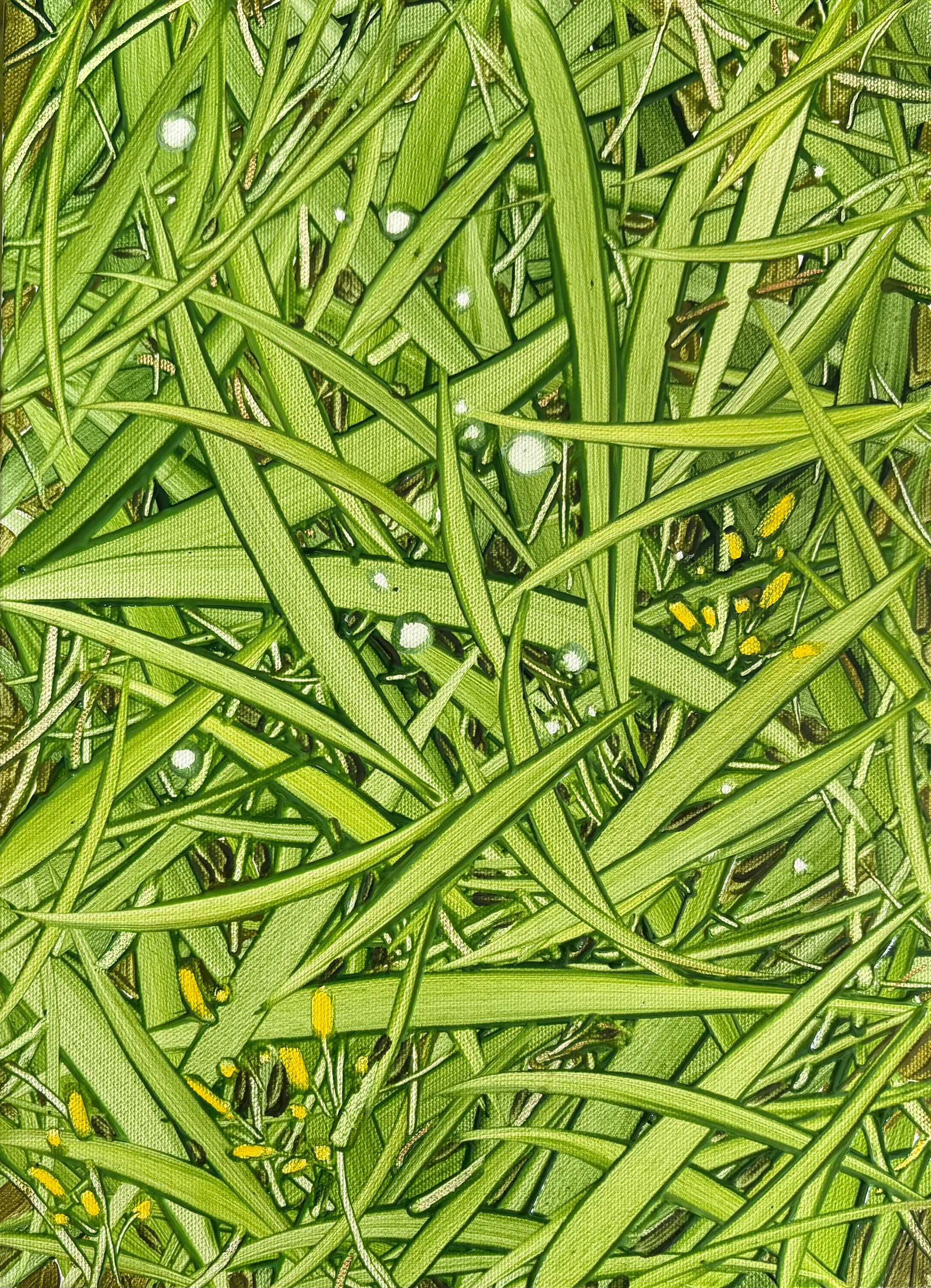 시선이 닿은 곳, Oil and oil pastel on canvas, 33.4x24.2cm, 2025