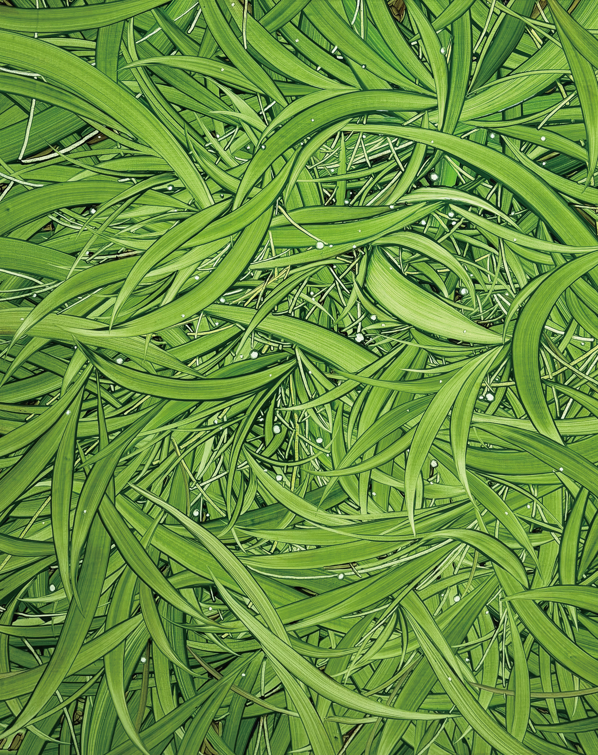 풀 속에, Oil and oil pastel on canvas, 100x80.3cm, 2026