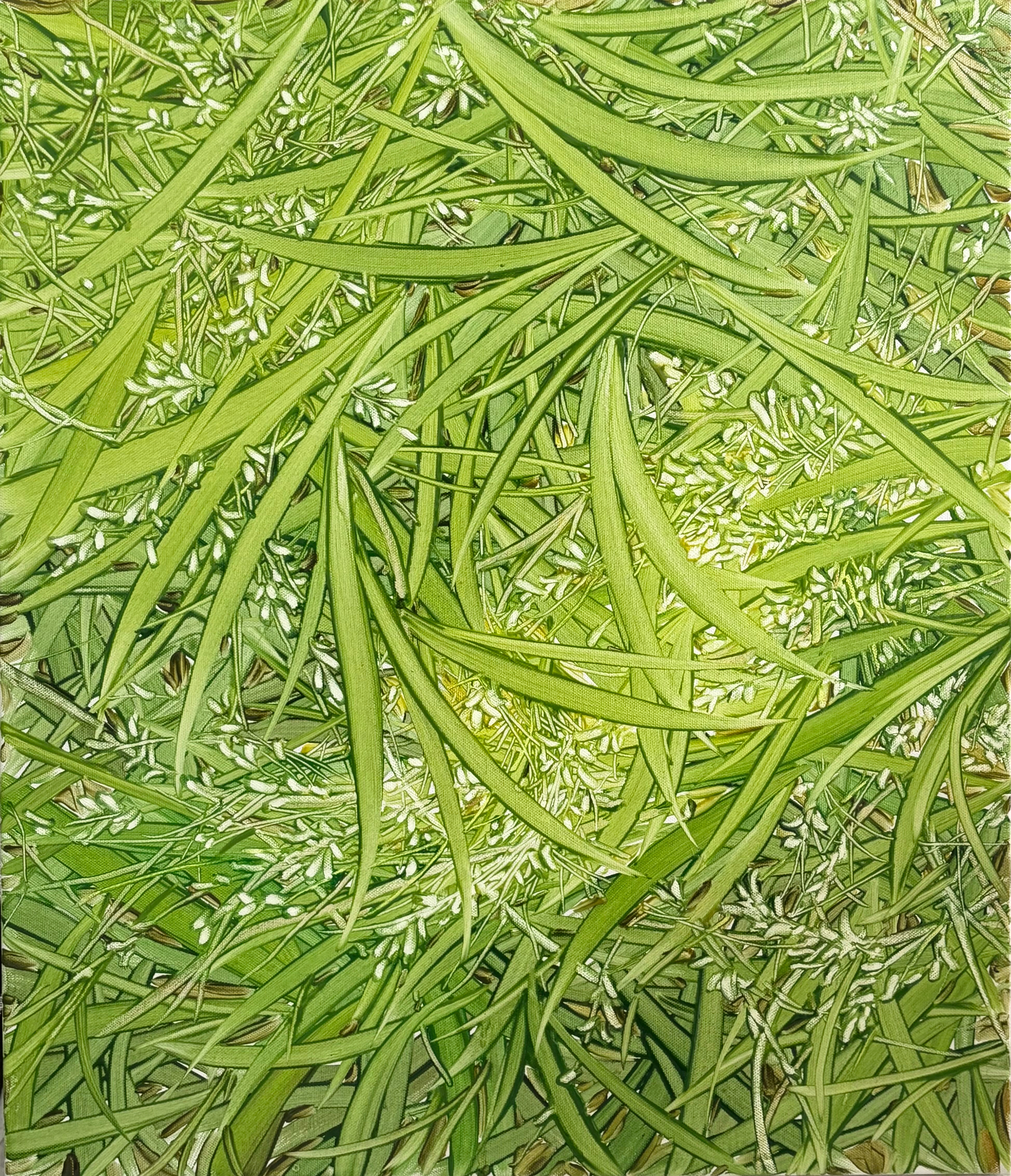 기다린 봄, Oil and oil pastel on canvas, 53.0x45.5cm, 2025