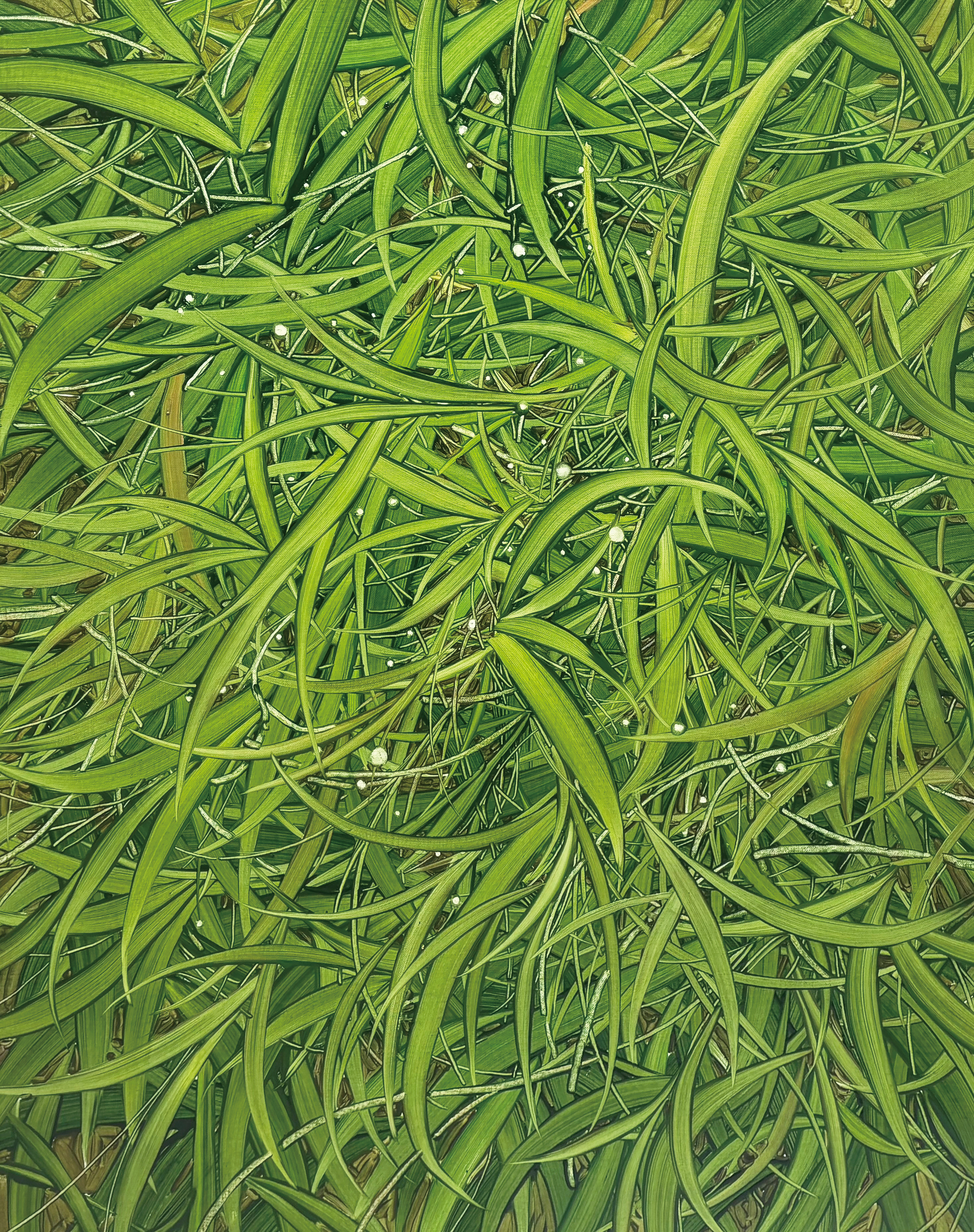 일상의 연결, Oil and oil pastel on canvas, 91.0x72.7cm, 2025