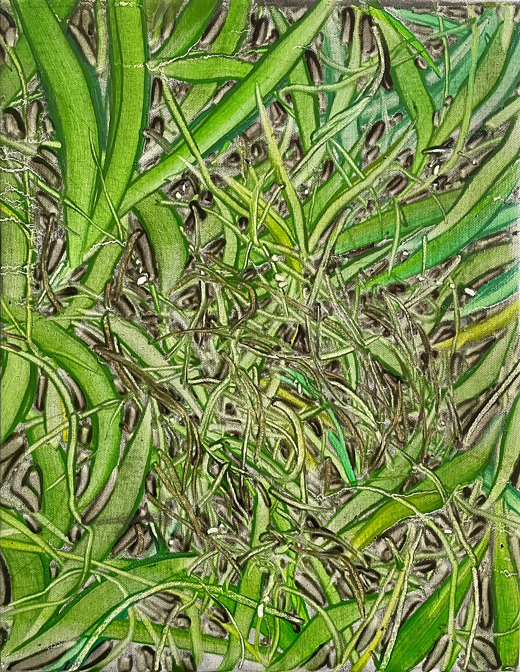 가까이 보기, Oil and oil pastel on canvas, 40.9x31.8cm, 2024