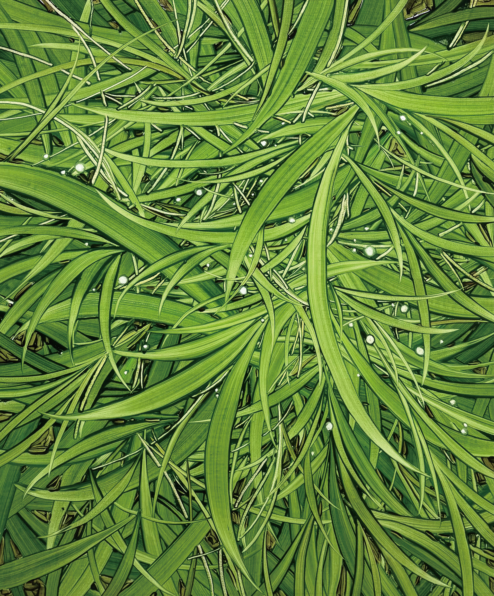 쉬지 않는 초록, Oil and oil pastel on canvas, 72.7x60.6cm, 2026