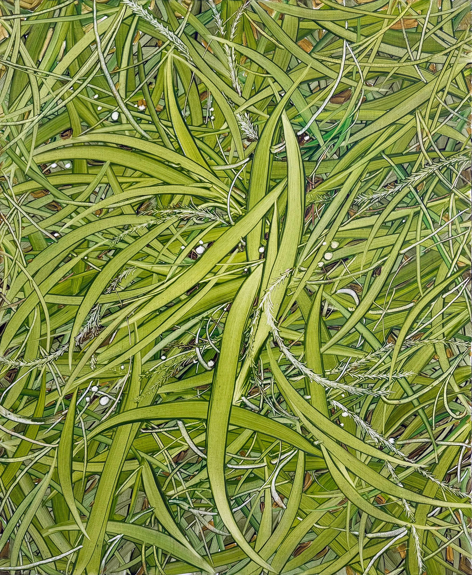 초록 바람, Oil and oil pastel on canvas, 60.6x50.0cm, 2025