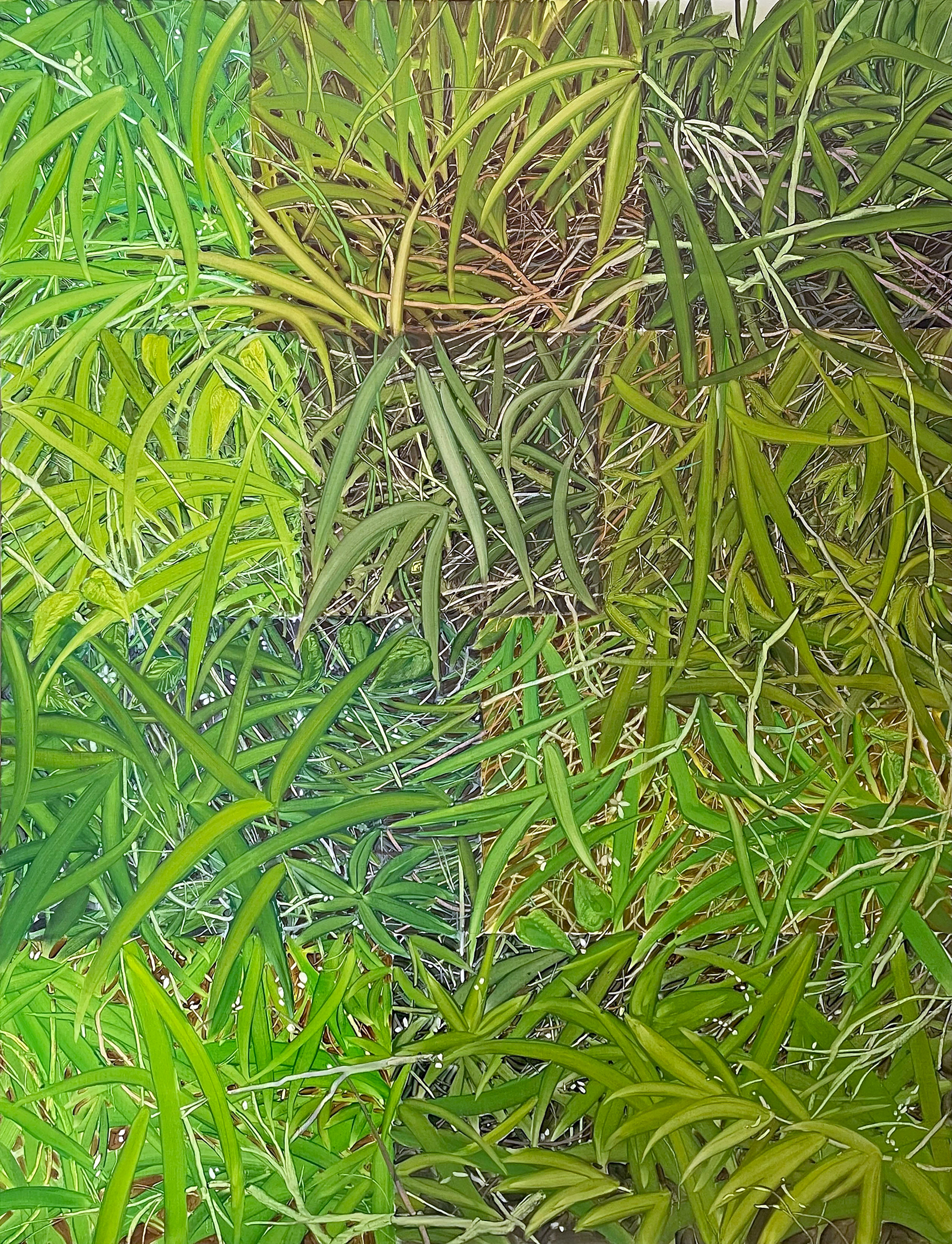 초록 빛, Oil and oil pastel on canvas, 145.5x112.1cm, 2024