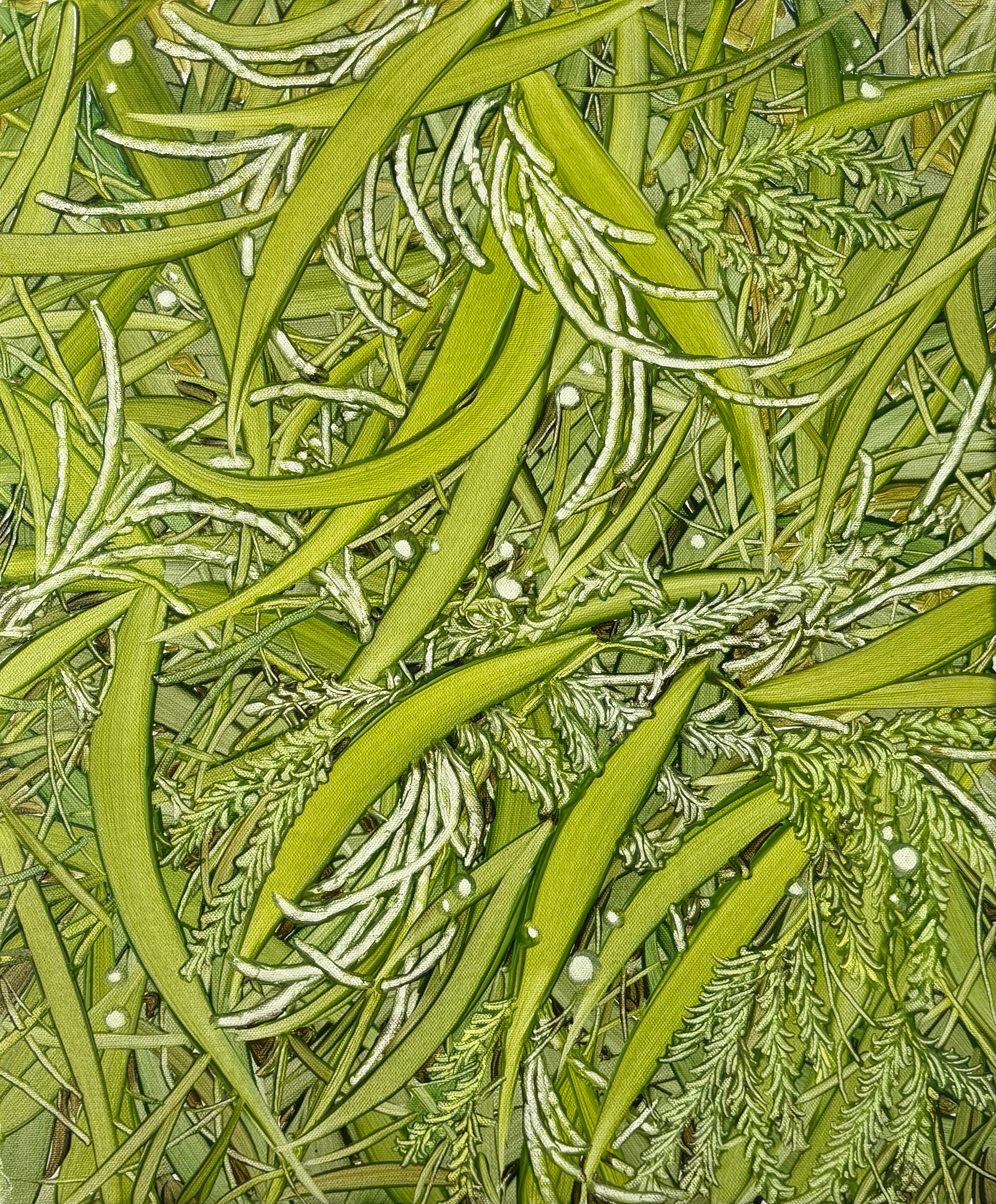 바람에 나부끼는, Oil and oil pastel on canvas,  45.5x37.9cm, 2025