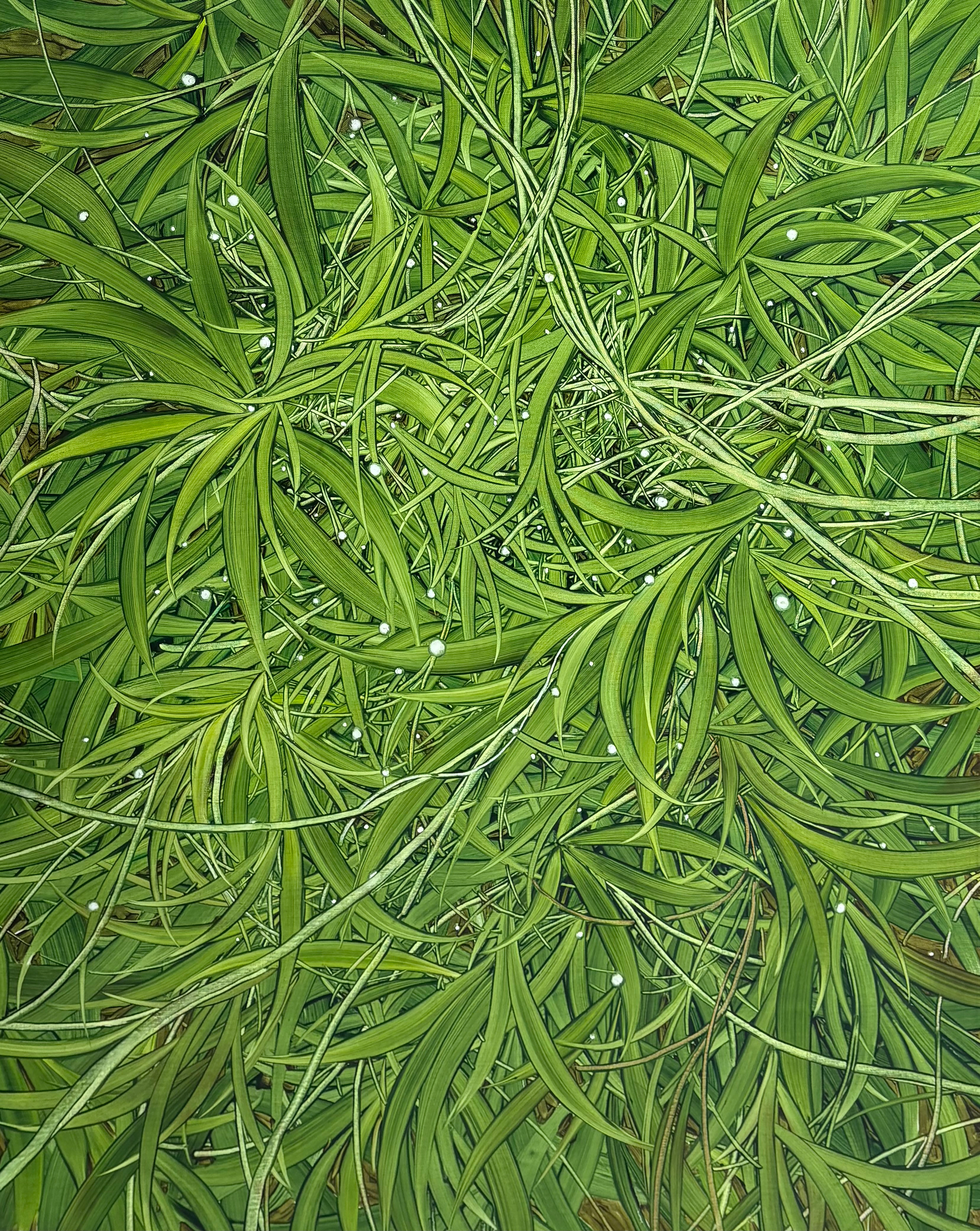 초록빛 일상, Oil and oil pastel on canvas, 100x80.3cm, 2026