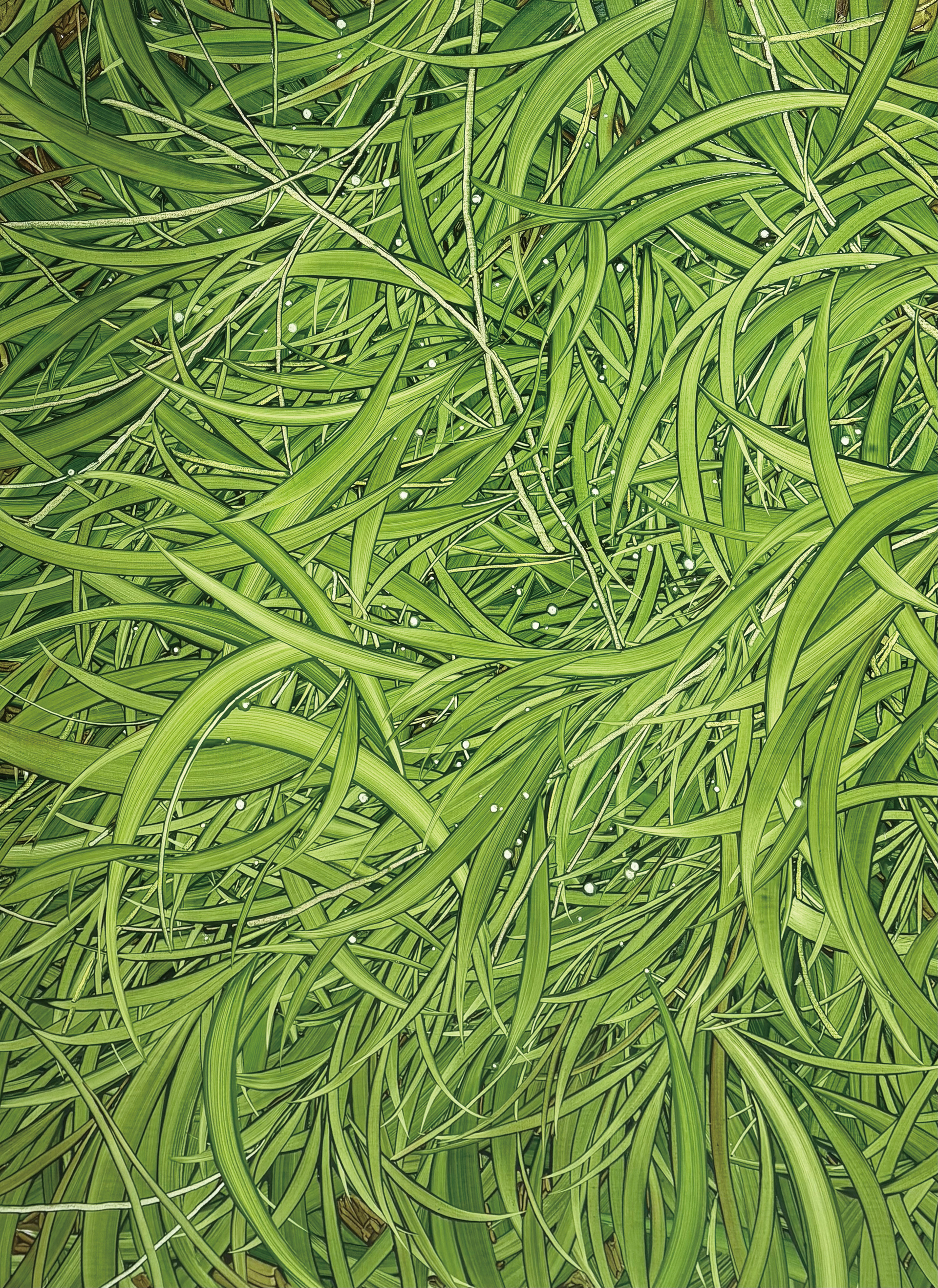 바람부는 날, Oil and oil pastel on canvas, 130.3x97cm, 2026