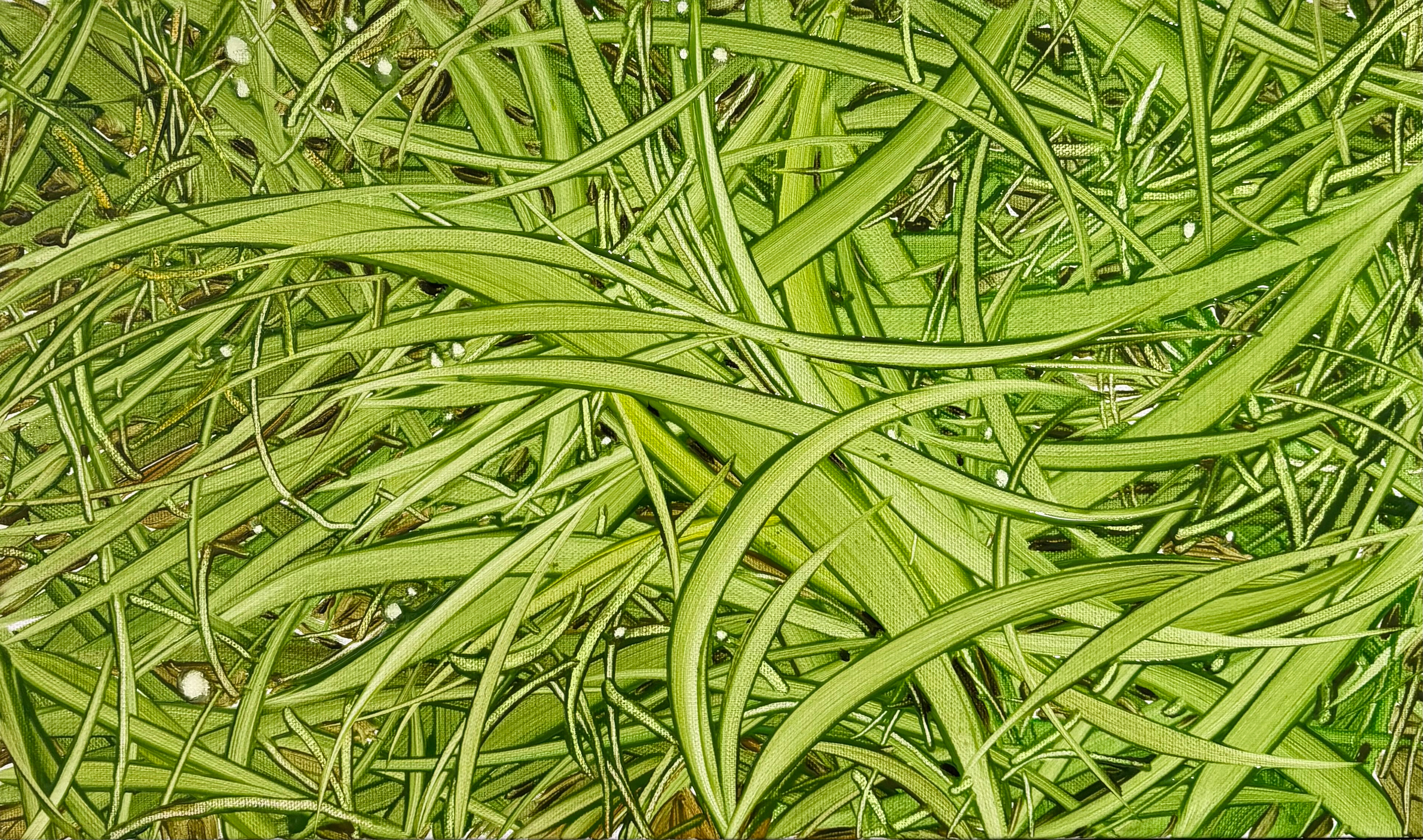 풀 위 바람 1, Oil and oil pastel on canvas, 24.2x40.9cm, 2025