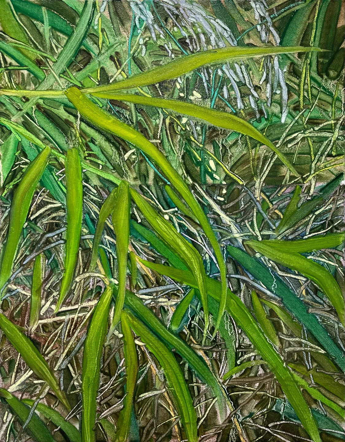 풀 아래 2, Oil and oil pastel on canvas, 45.5x37.9cm, 2023