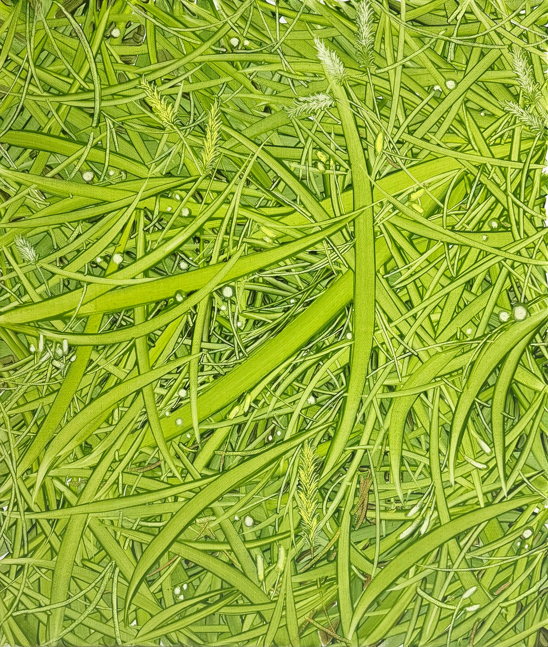 봄 편지, Oil and oil pastel on canvas, 53.0x45.5cm, 2025