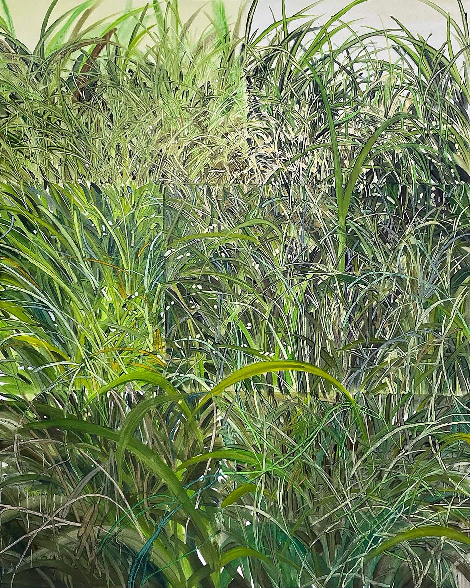 초록 자리, Oil and oil pastel on canvas, 100x80.3cm, 2023