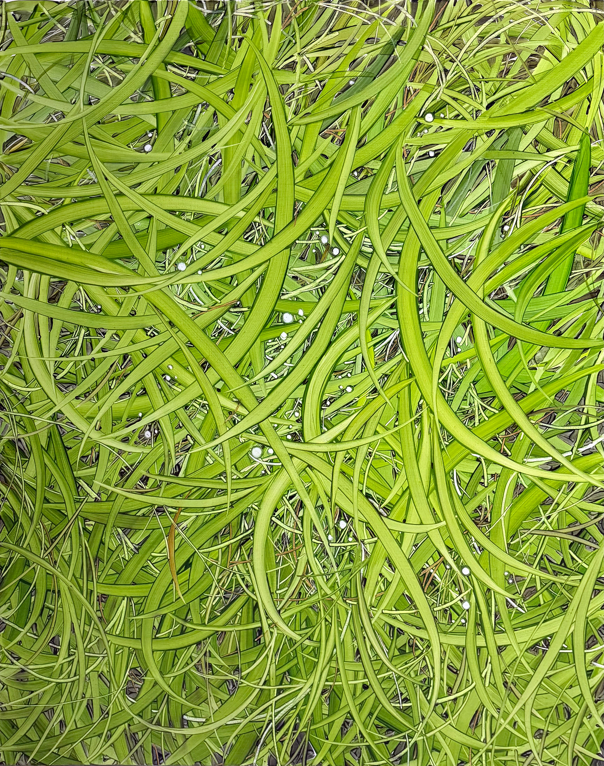 초록물결, Oil and oil pastel on canvas, 100x80.3cm, 2025