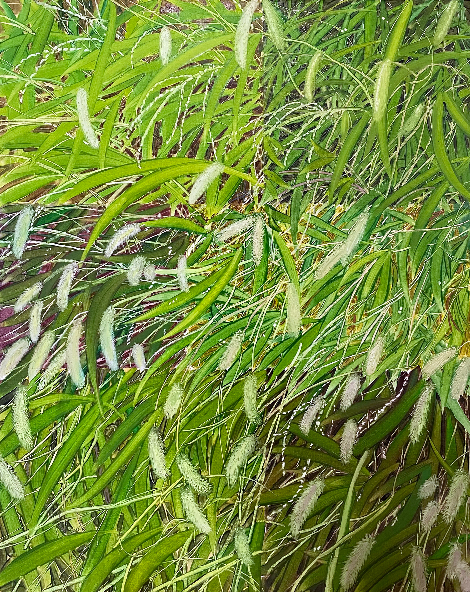 바람 풀, Oil and oil pastel on canvas, 91.0x72.7cm, 2024