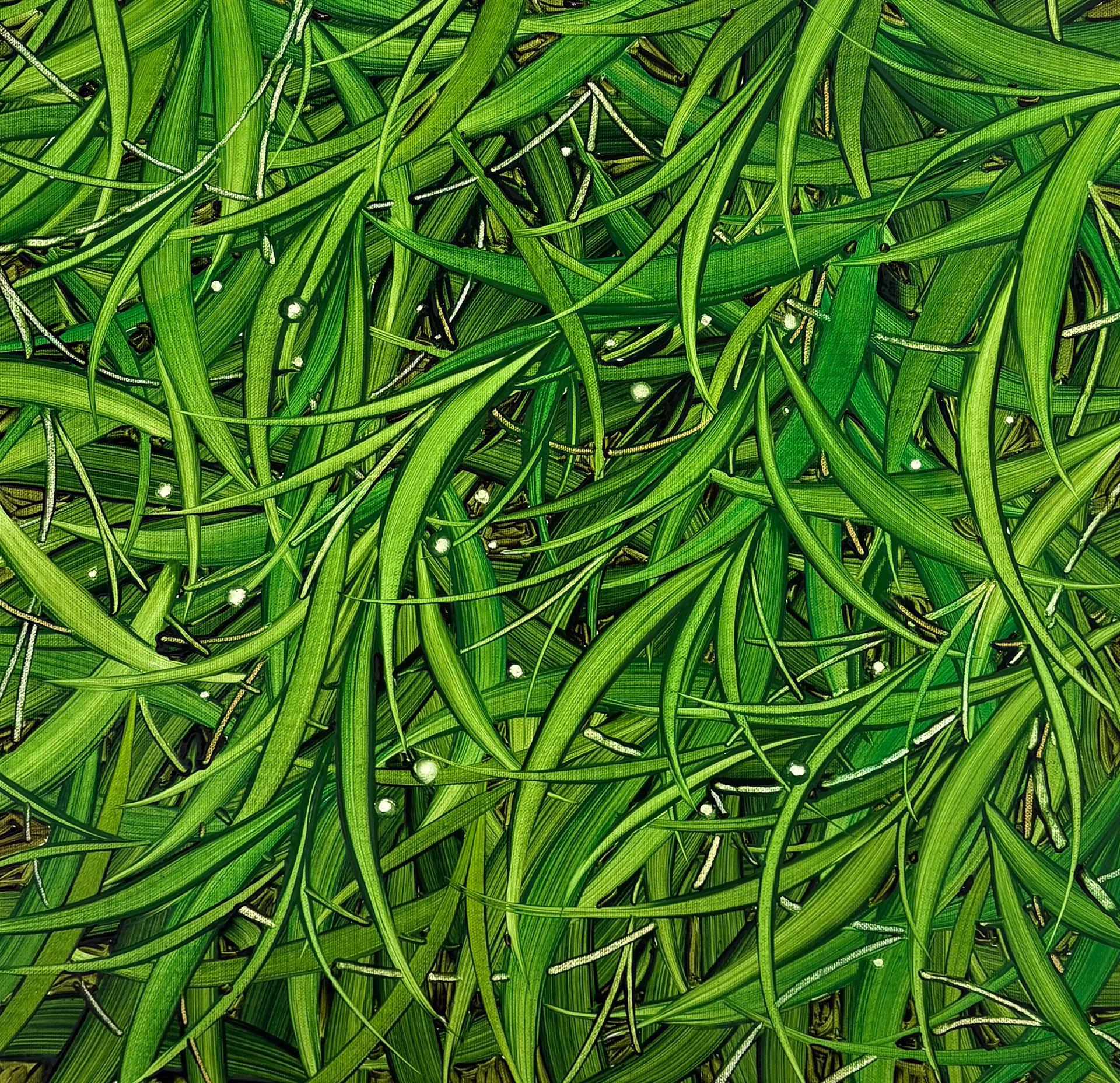 초록 바람, Oil and oil pastel on canvas, 45.5x45.5cm, 202