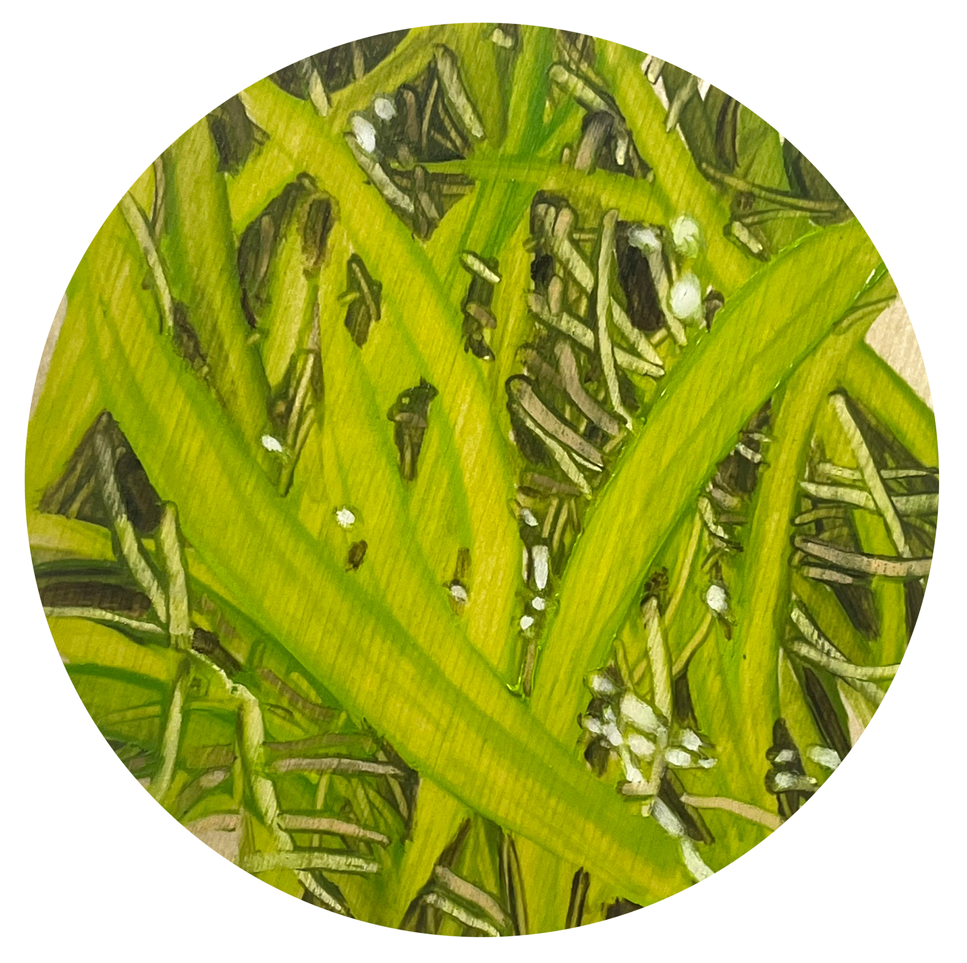 Circle 1, Oil and oil pastel on wooden panel, dia. 14cm, 2024