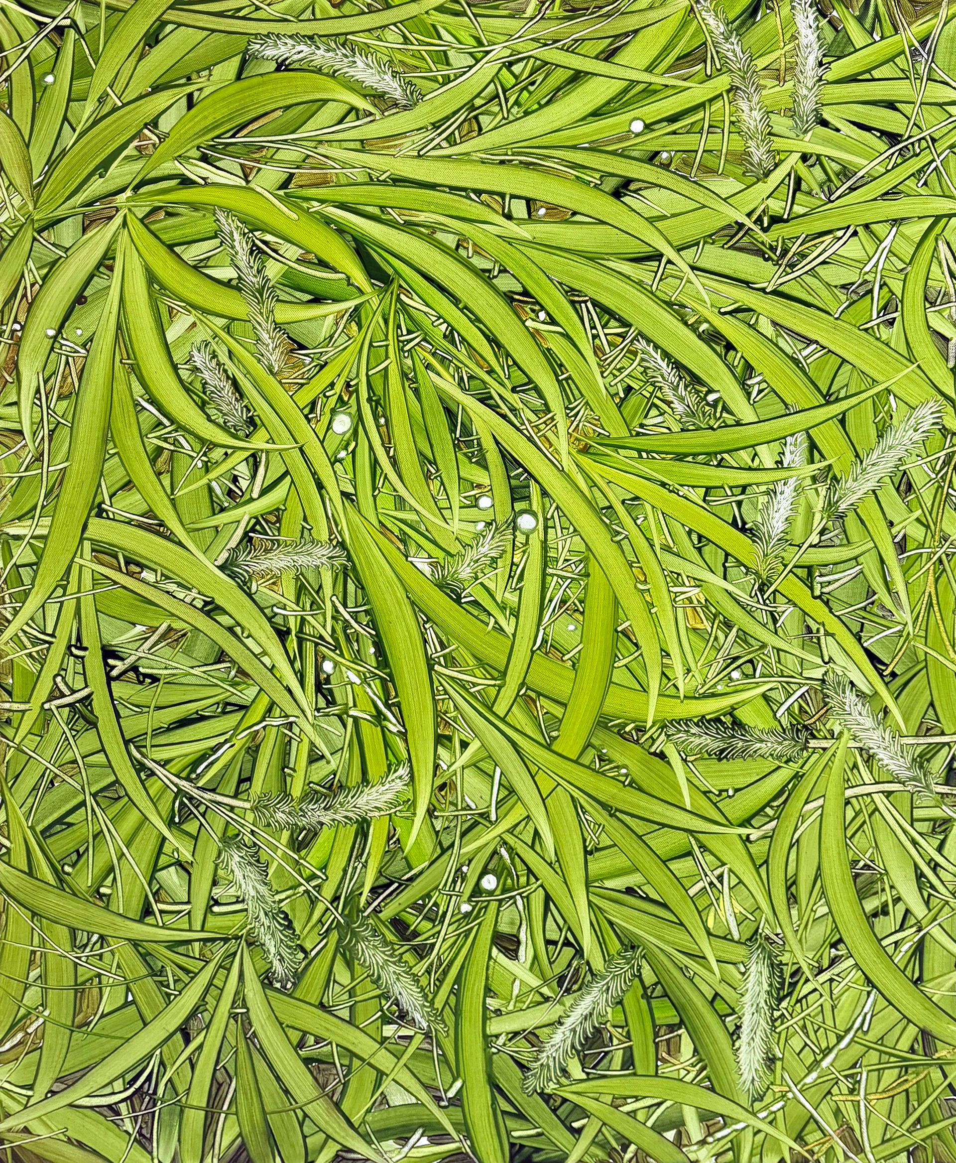 스며든 초록, Oil and oil pastel on canvas, 72.7x60.6cm, 2025