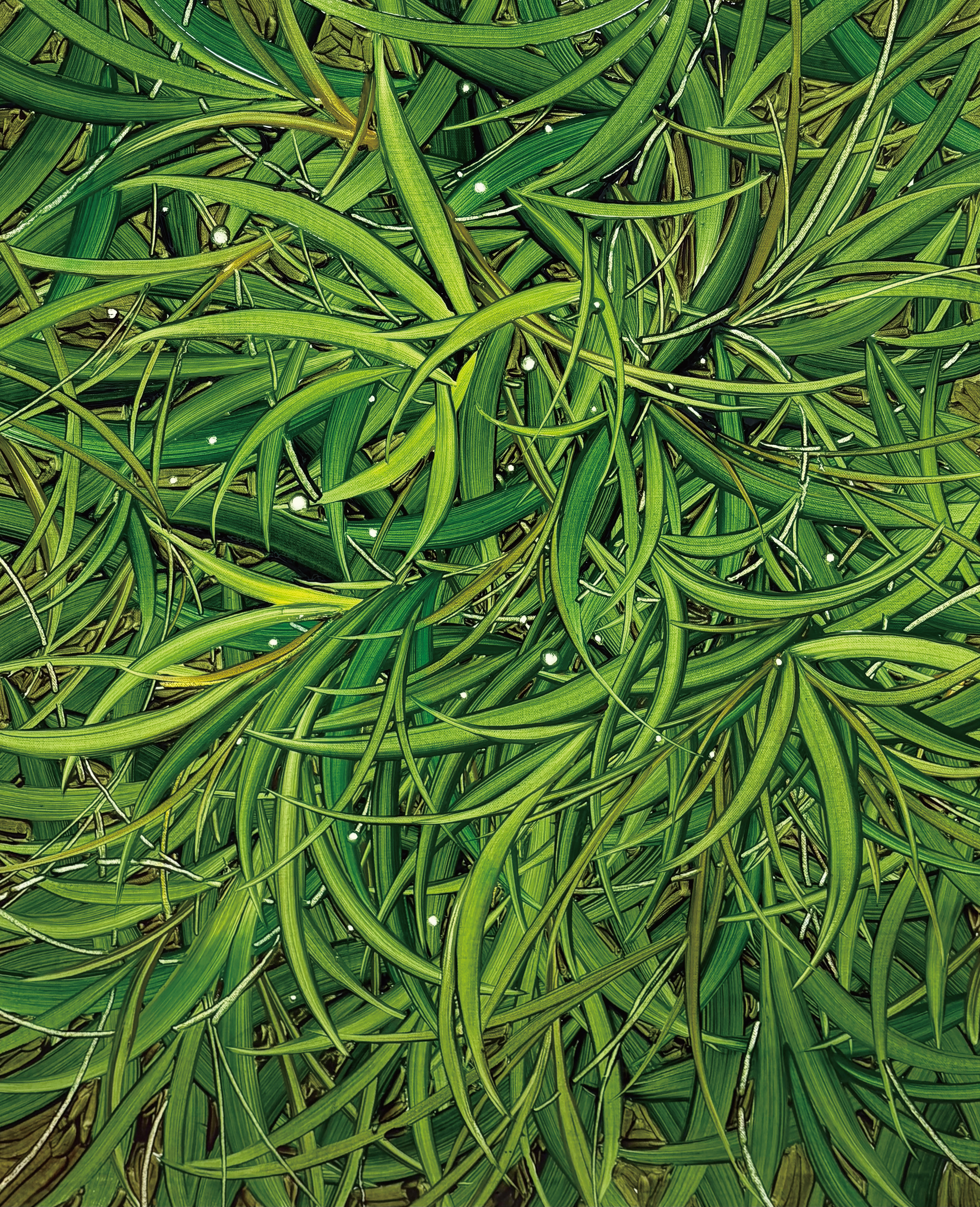 낮은 곳에 너, Oil and oil pastel on canvas, 72.7x60.6cm, 2025