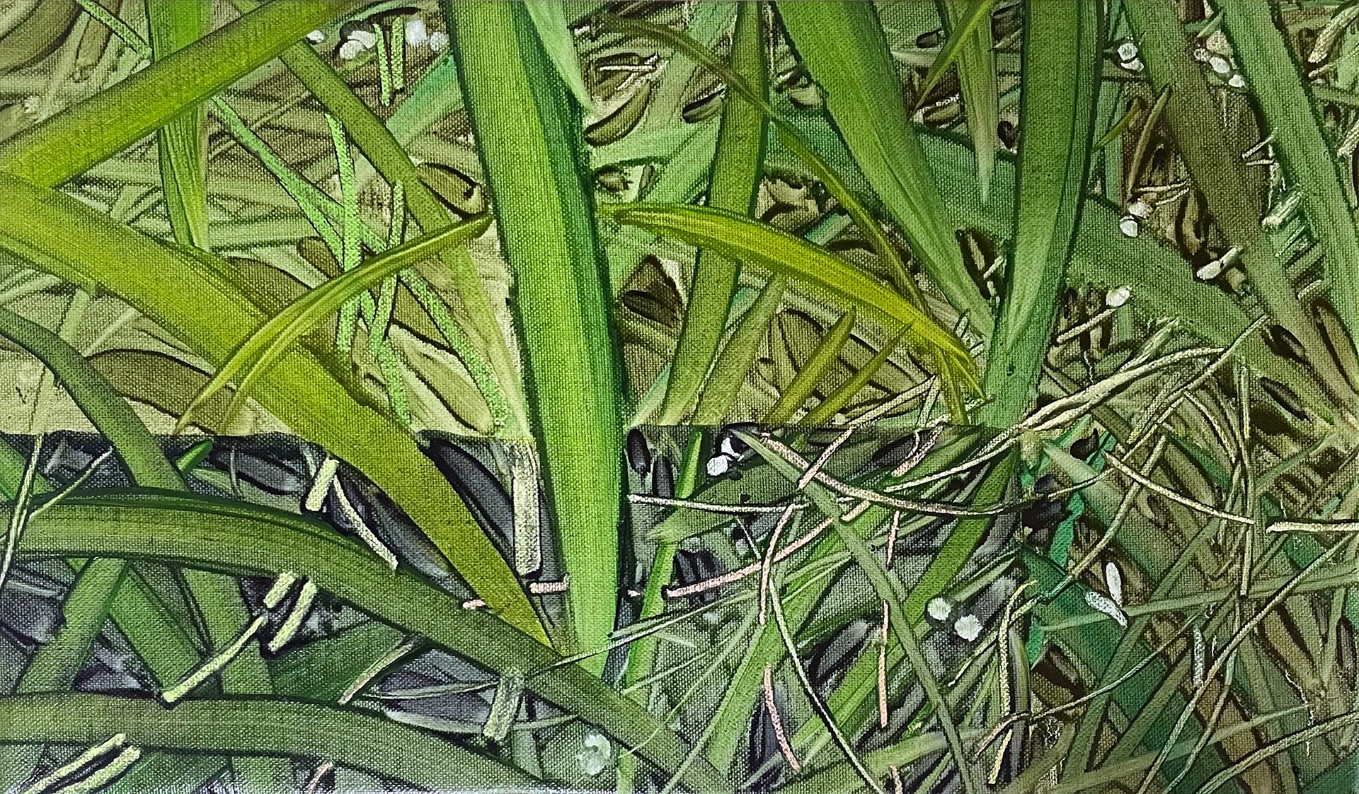 Cut 13, Oil and oil pastel on canvas, 24.2x40.9cm, 2024