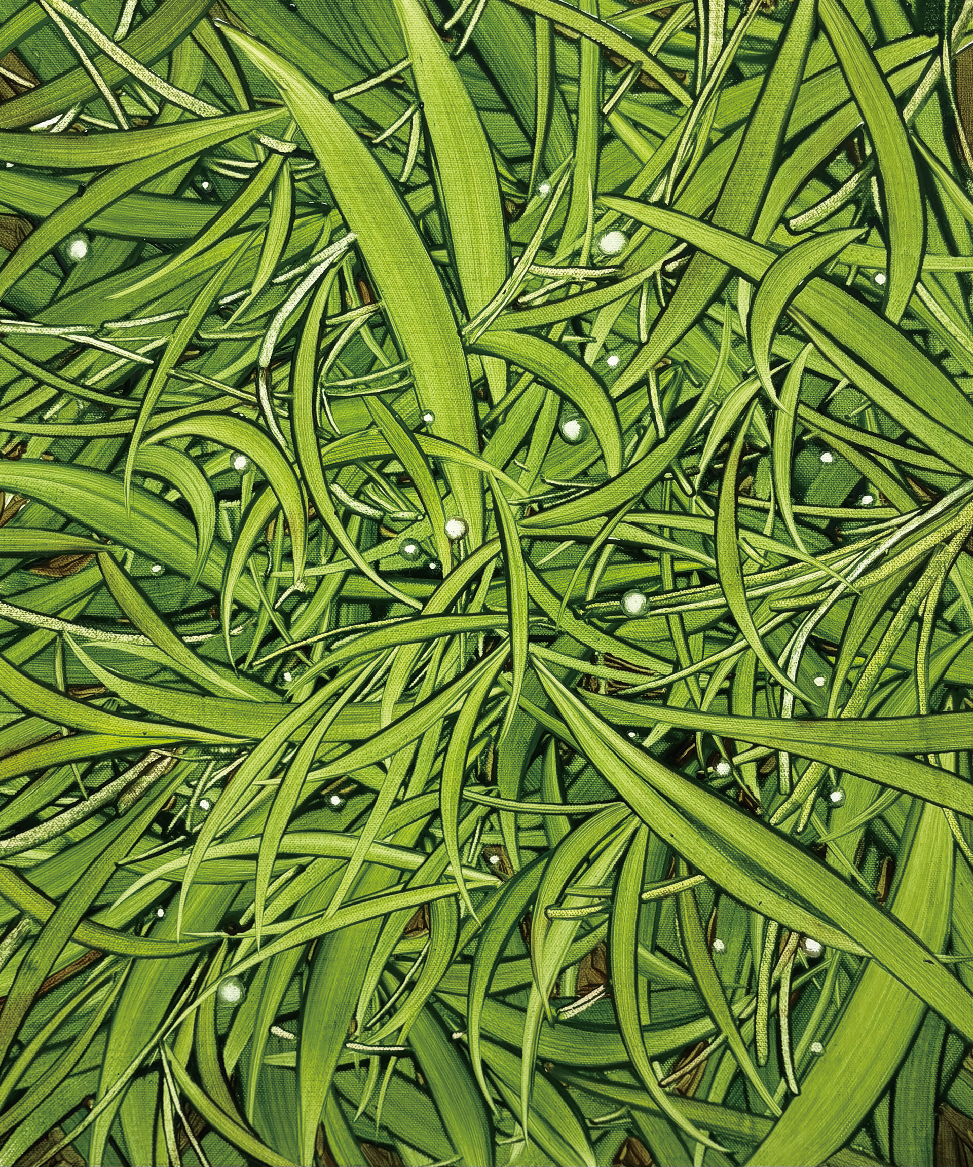 바람, 풀, Oil and oil pastel on canvas, 45.5x37.9cm, 2026