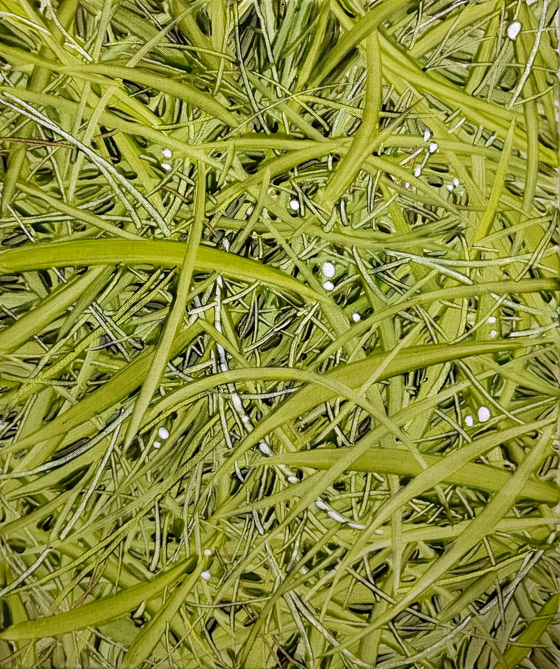 내 겨울은 초록색, Oil and oil pastel on canvas, 45.5x37.9cm, 2025