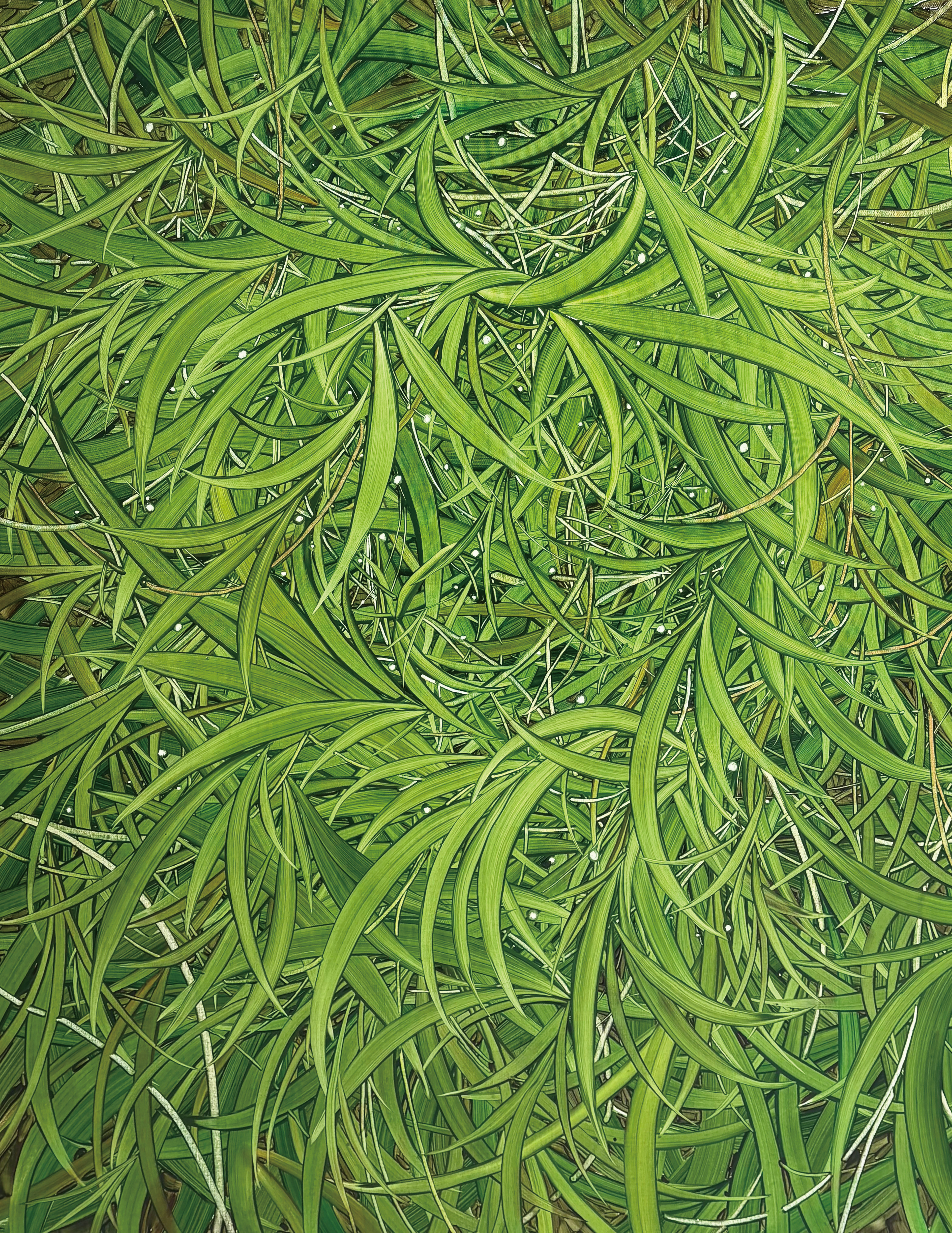 너라는 존재는, Oil and oil pastel on canvas, 116.8x91.0cm, 2025