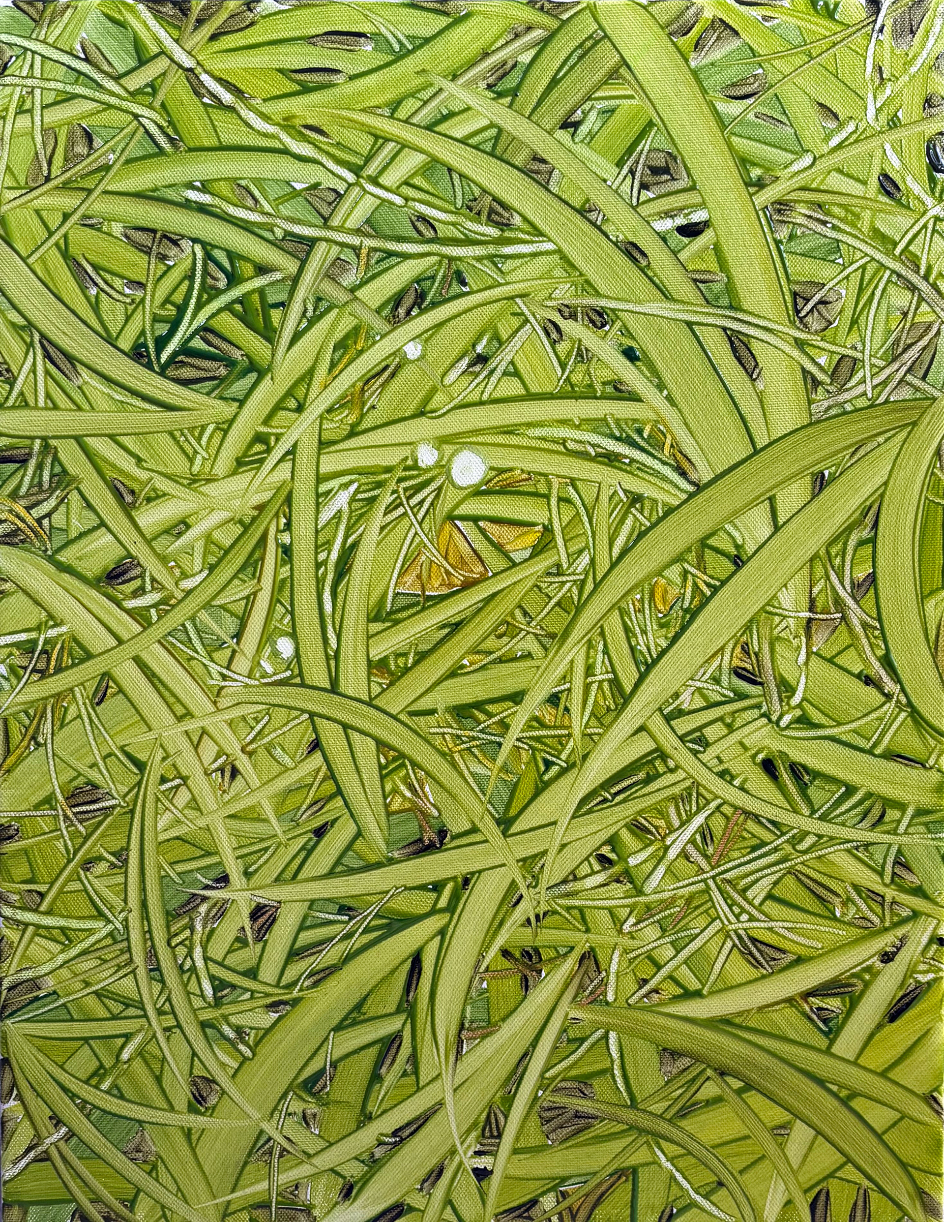 Warm Breeze, Oil and oil pastel on canvas, 40.9x31.8cm, 2025