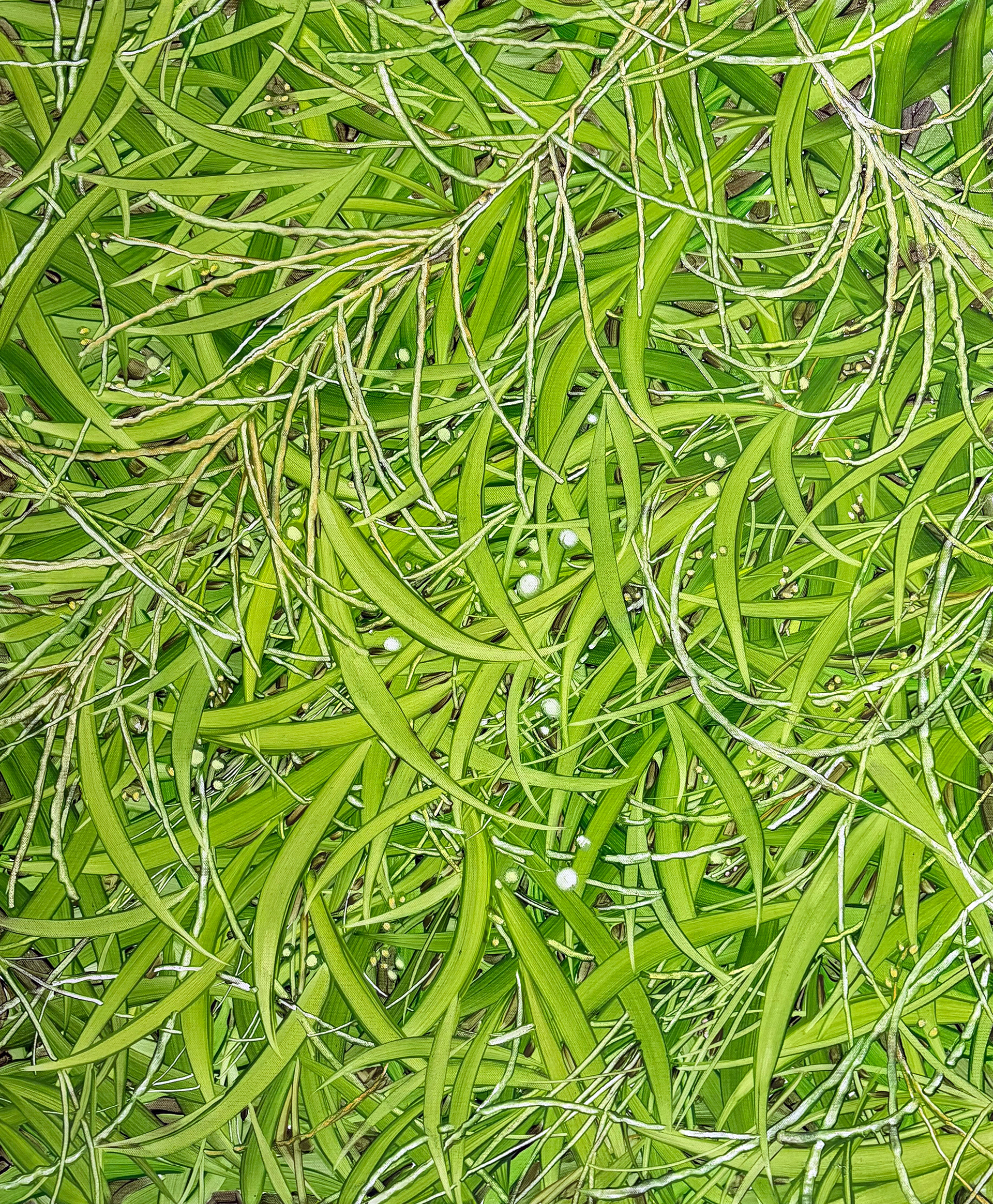 작고 낮은 초록, Oil and oil pastel on canvas, 72.7x60.6cm, 2025