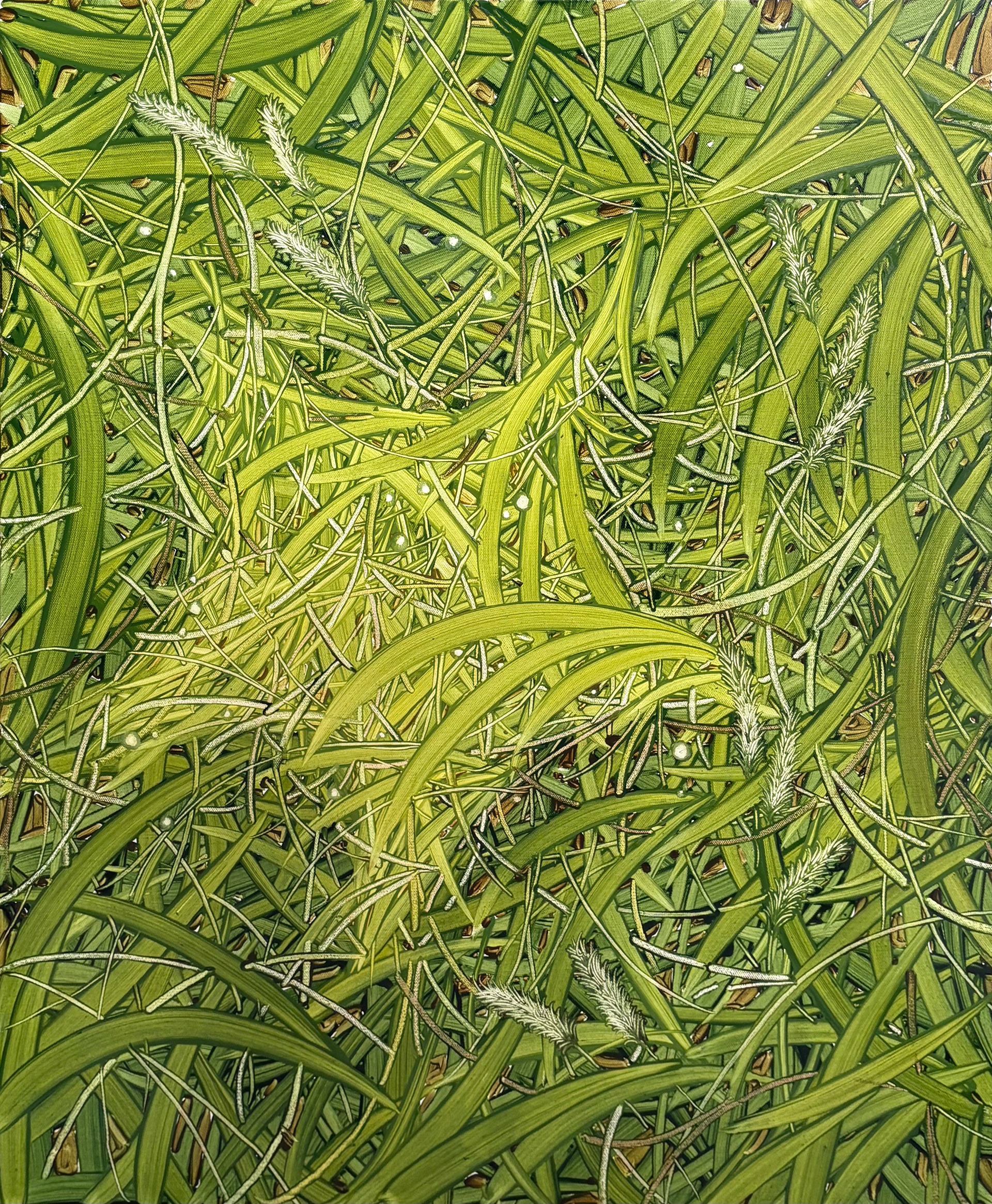초록 별이 뜨면, Oil and oil pastel on canvas, 72.7x60.6cm, 2025