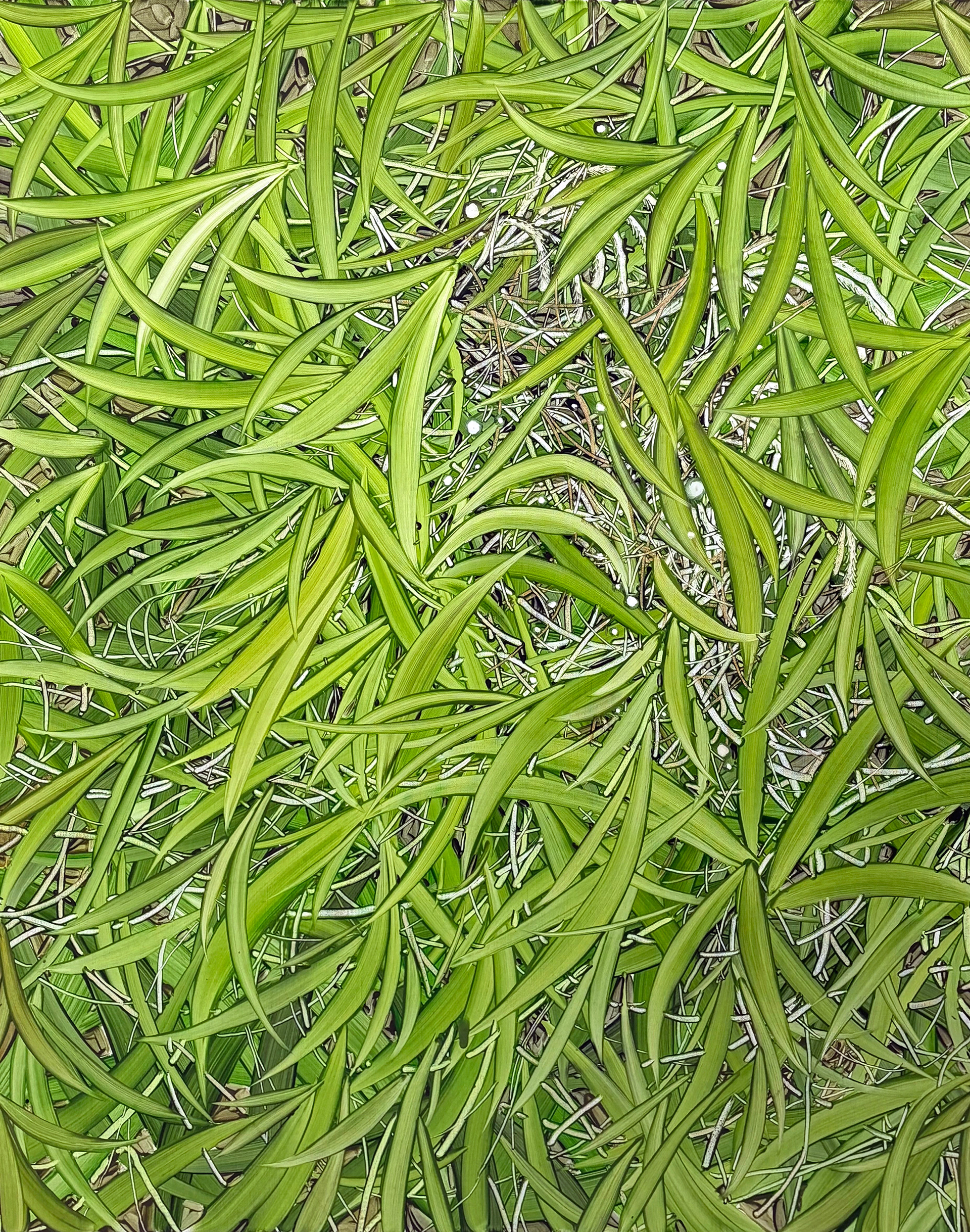 낮은 시선, Oil and oil pastel on canvas, 91.0x72.7cm, 2025