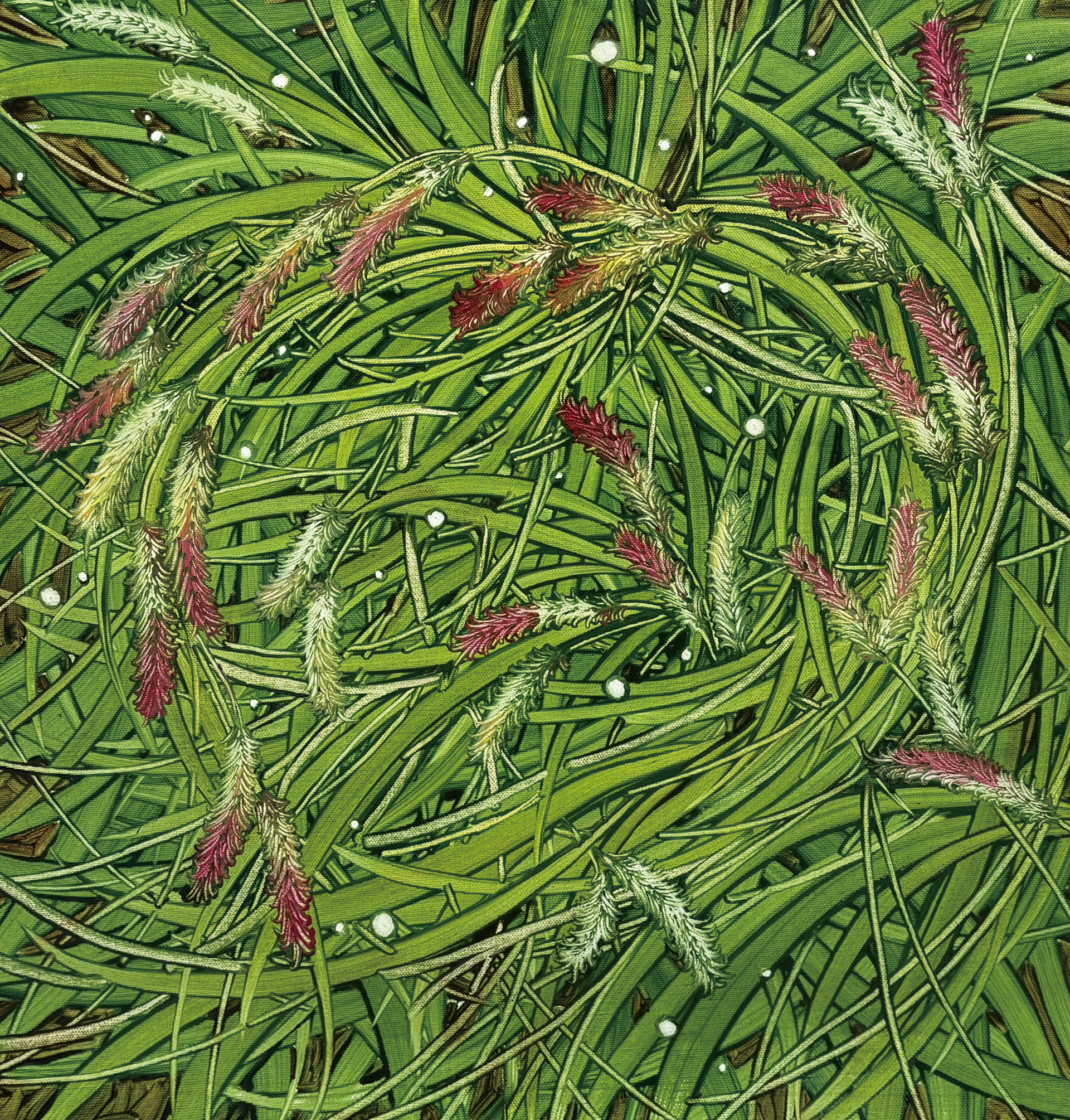 너의 마음, Oil and oil pastel on canvas, 45.5x45.5cm, 2026