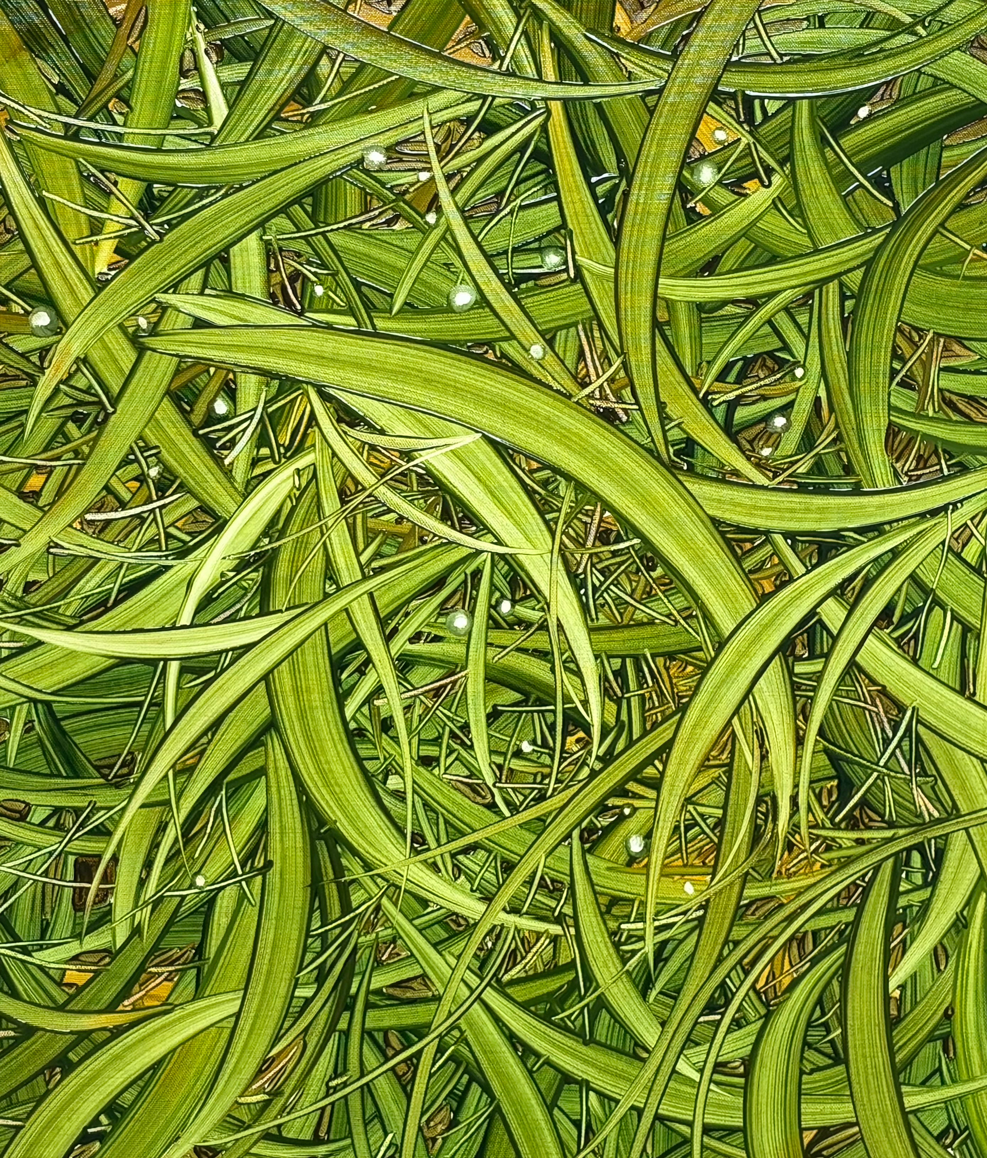 싱그러운 초록, Oil and oil pastel on canvas, 53.0x45.5cm, 2025