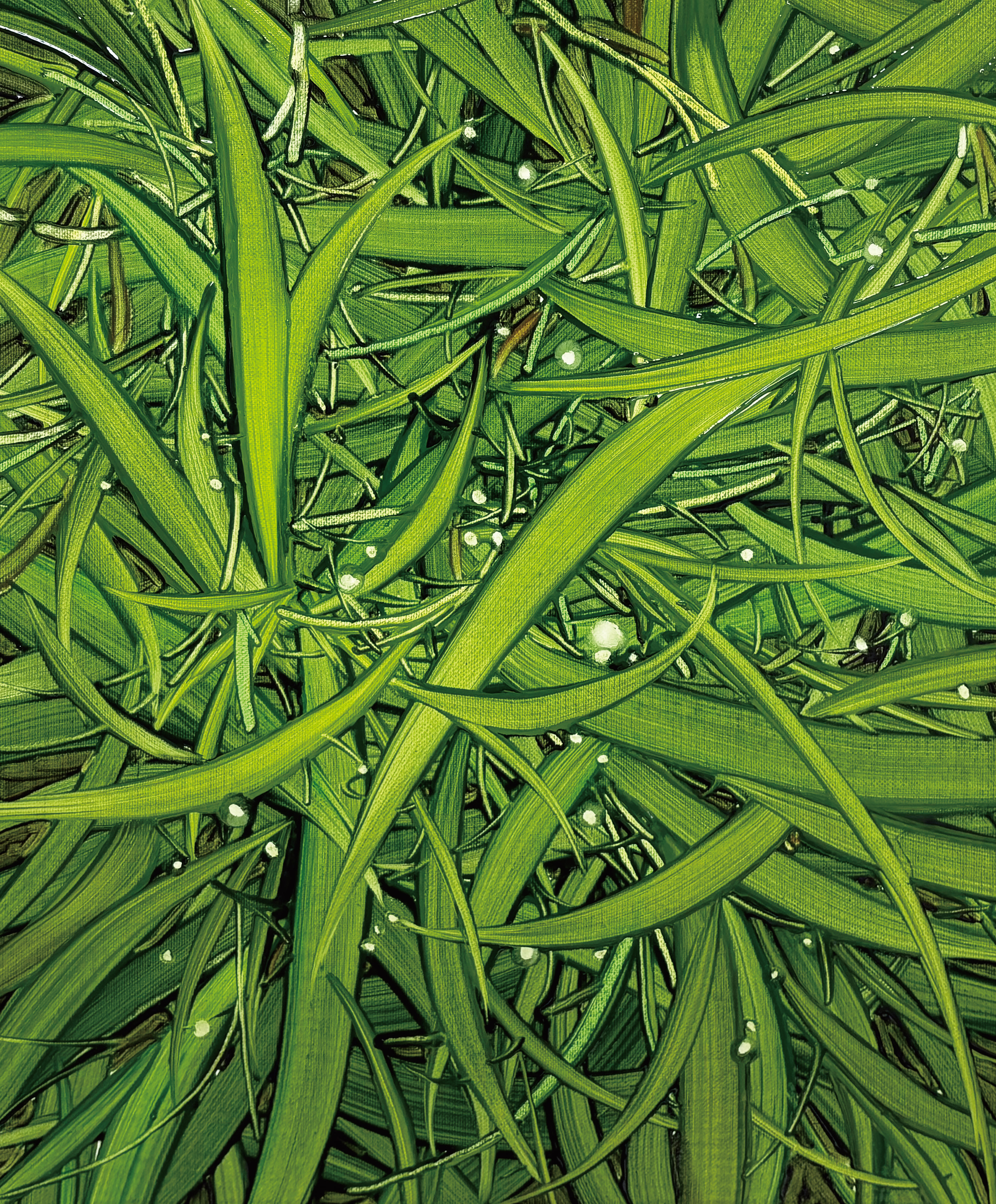 Breeze, Oil and oil pastel on canvas, 40.9x31.8cm, 2025