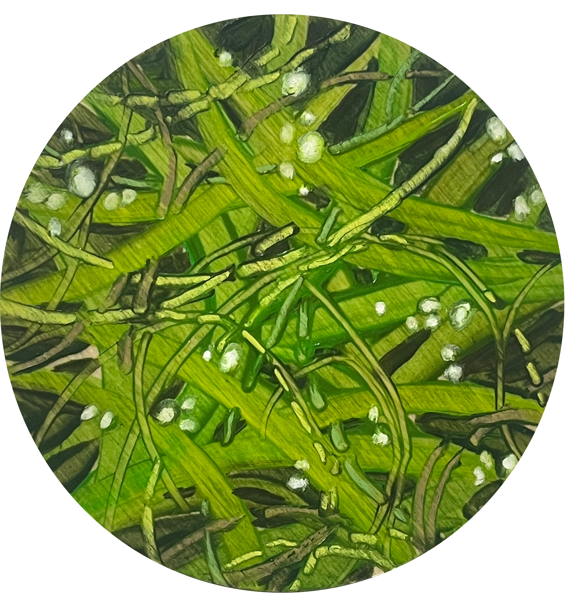 Circle 5, Oil and oil pastel on wooden panel, dia. 14cm, 2024