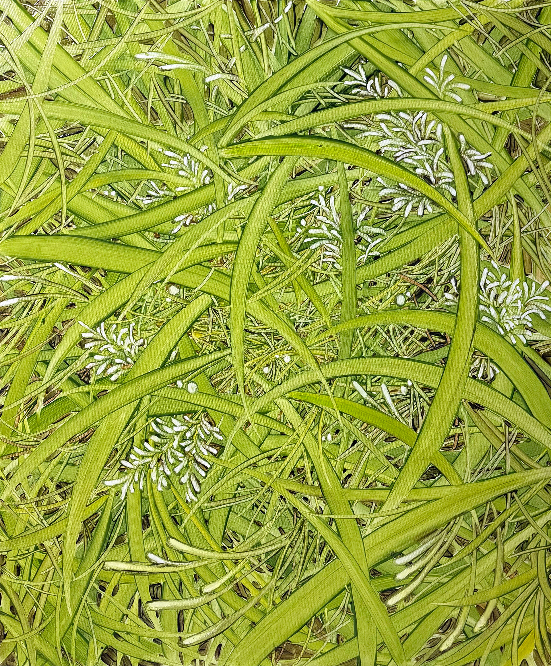 풀 내음, Oil and oil pastel on canvas, 72.7x60.6cm, 2025