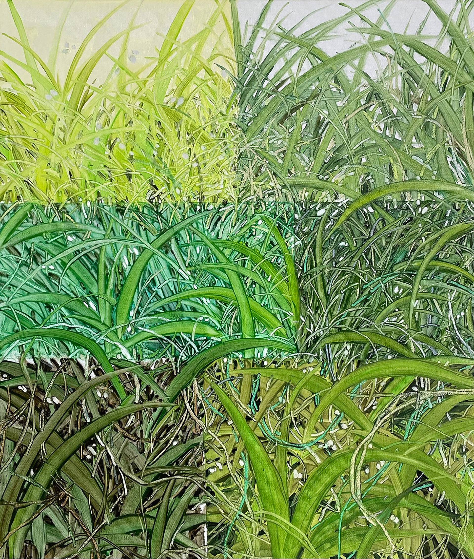 잔디풀, Oil and oil pastel on canvas, 53.0x45.5cm, 2024