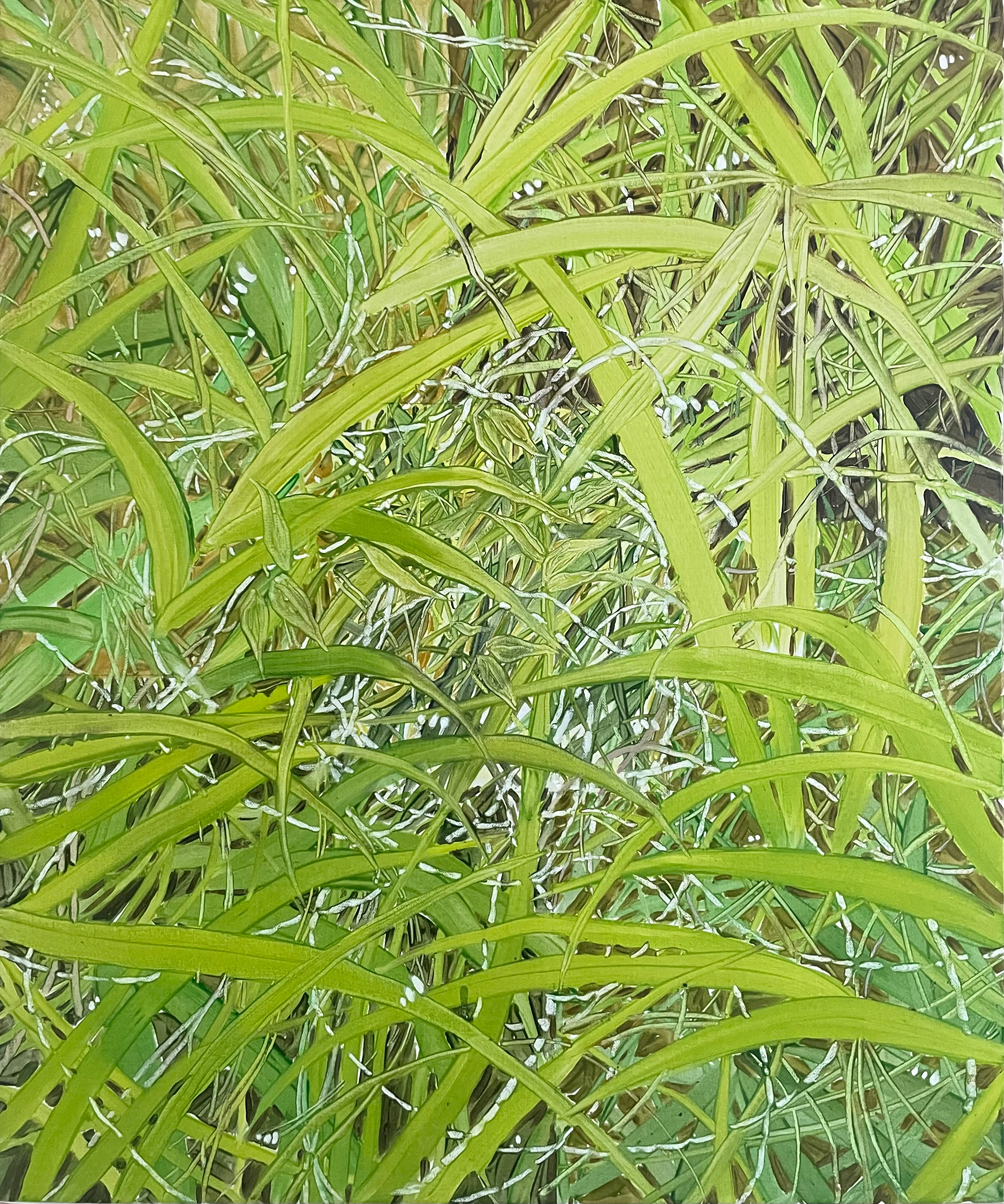 A Fine Day, Oil and oil pastel on canvas, 72.7x60.6cm, 2024