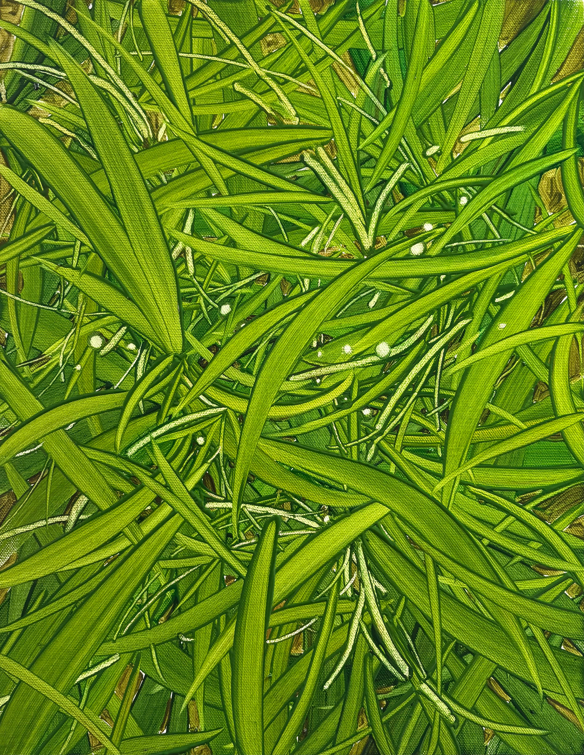 바람결 2, Oil and oil pastel on canvas, 40.9x31.8cm, 2025