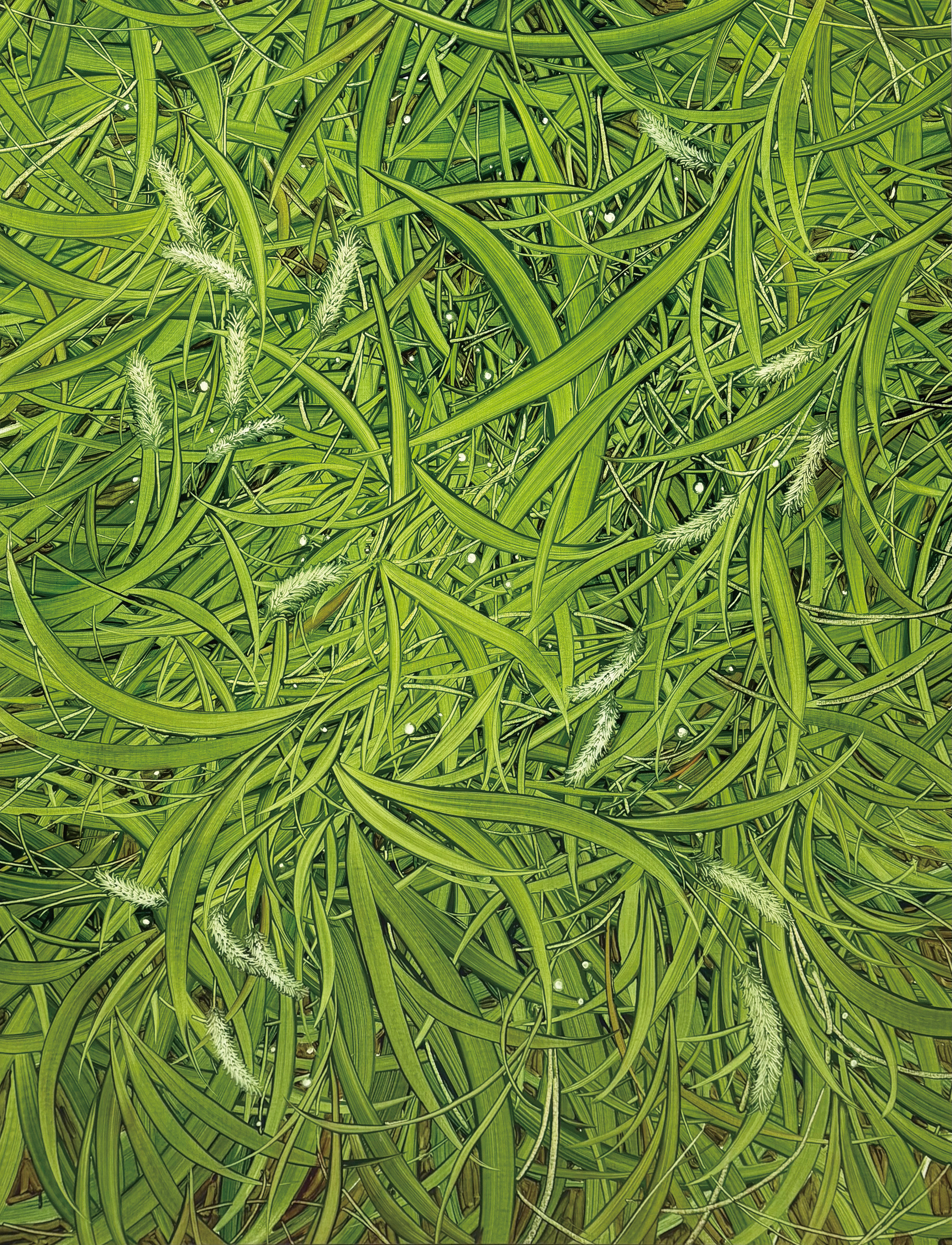 바람이 불어오는 곳, Oil and oil pastel on canvas, 116.8x91.0cm, 2025