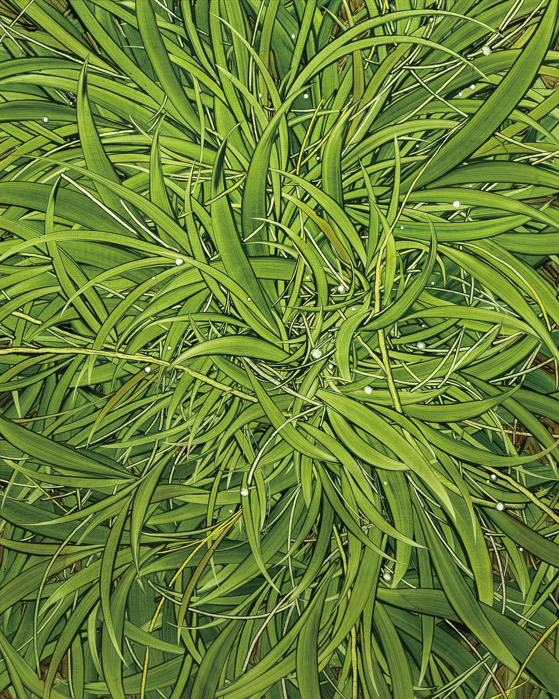 바람, 풀, Oil and oil pastel on canvas, 91.0x72.7cm, 2026