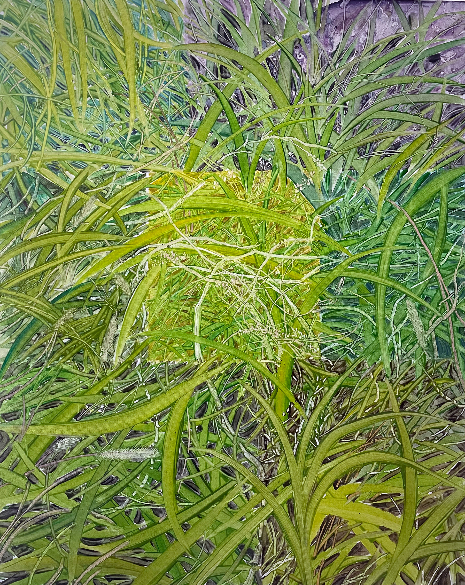 A Fine Day, Oil and oil pastel on canvas, 91.0x72.7cm, 2024