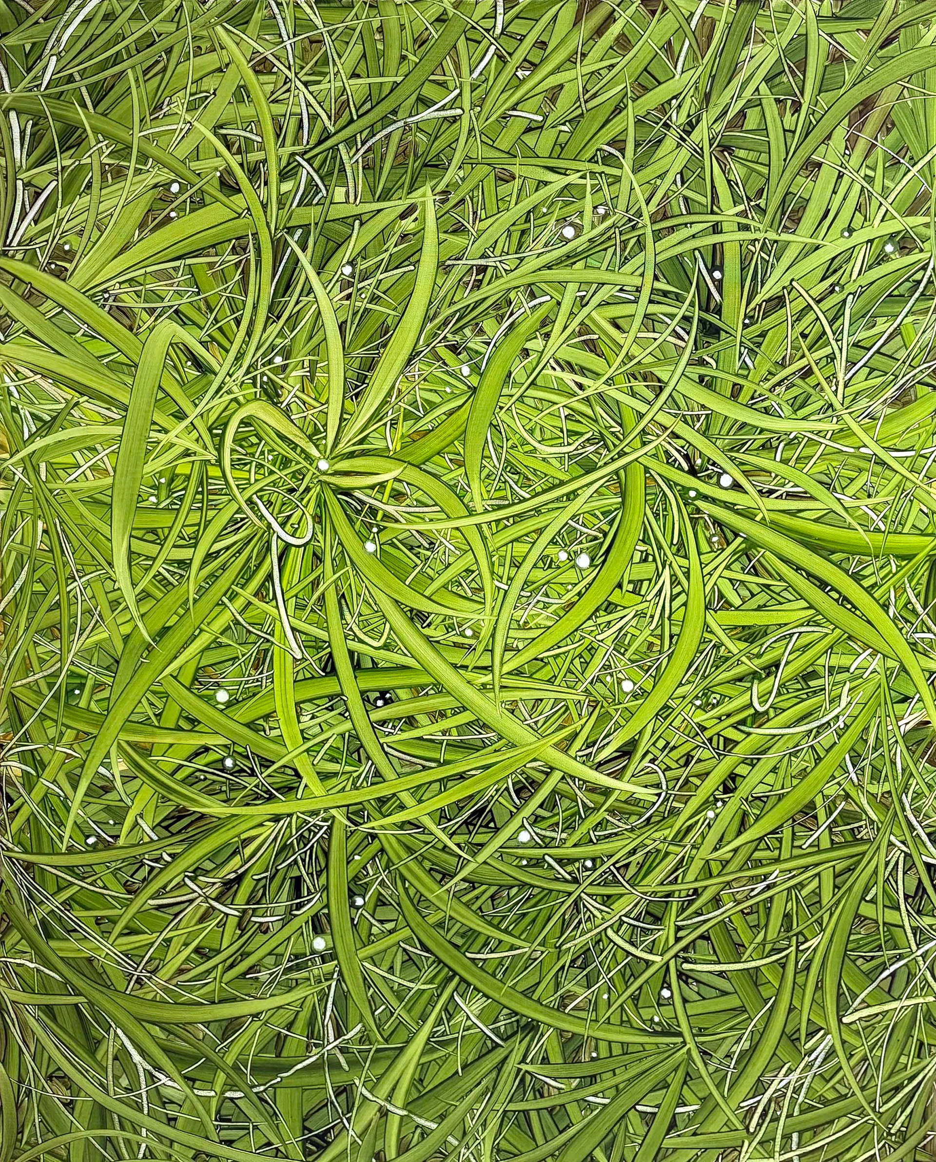 초록빛, Oil and oil pastel on canvas, 100x80.3cm, 2025