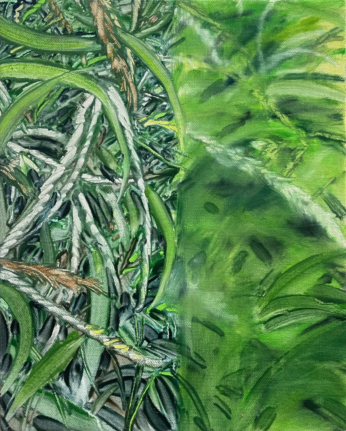 Grass Scent 1, Oil and oil pastel on canvas, 27.3x22cm, 2023