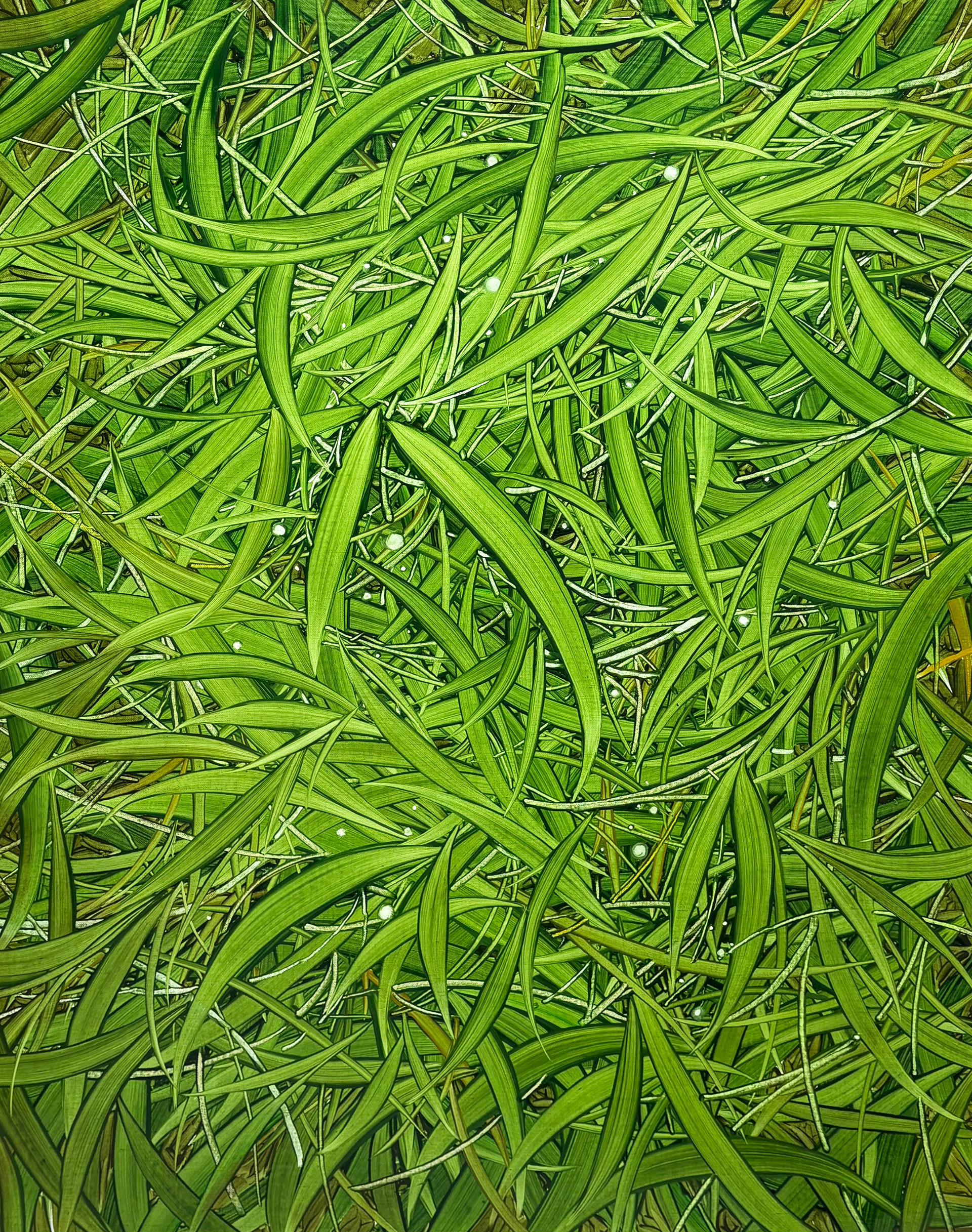 바람에 몸을 맡기고, Oil and oil pastel on canvas, 91.0x72.7cm, 2025