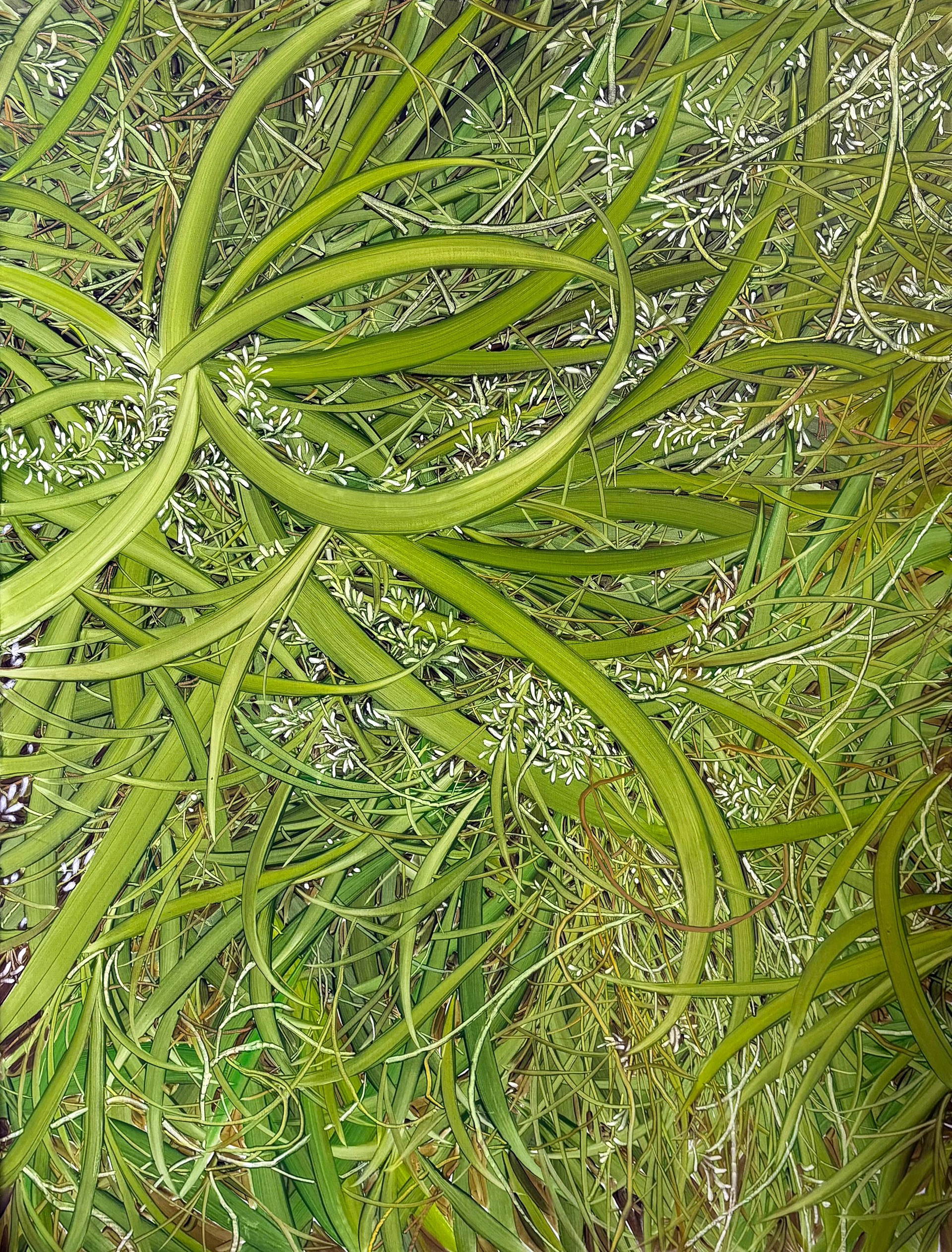 낮은 곳, Oil and oil pastel on canvas, 145.5x112.1cm, 2025