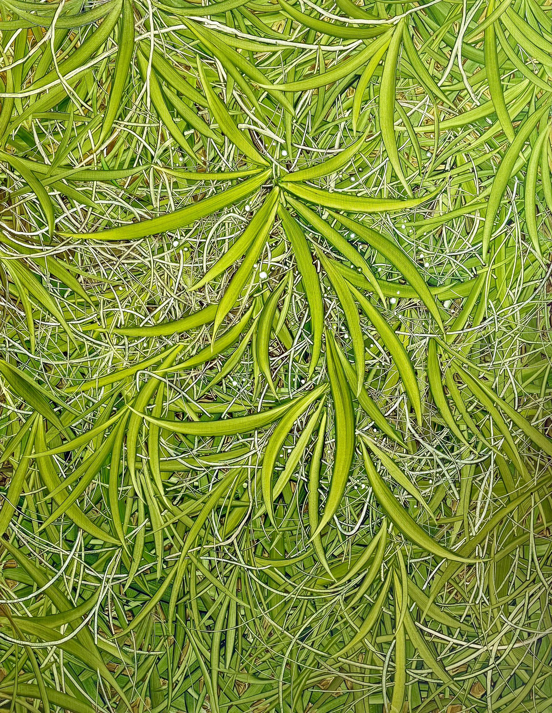 항상 그 자리에, Oil and oil pastel on canvas, 116.8x91.0cm, 2025